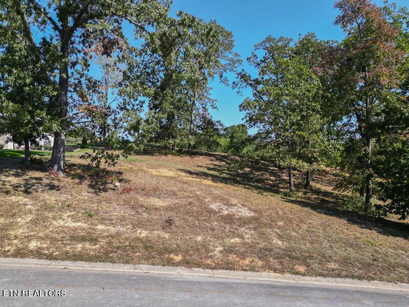 Fort Loudoun and Tellico Lake Real Estate - Image# 1