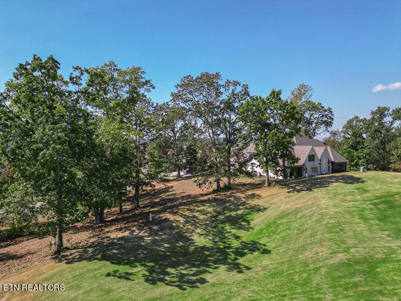 Fort Loudoun and Tellico Lake Real Estate - Image# 7
