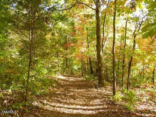 Fort Loudoun and Tellico Lake Real Estate - Image# 24