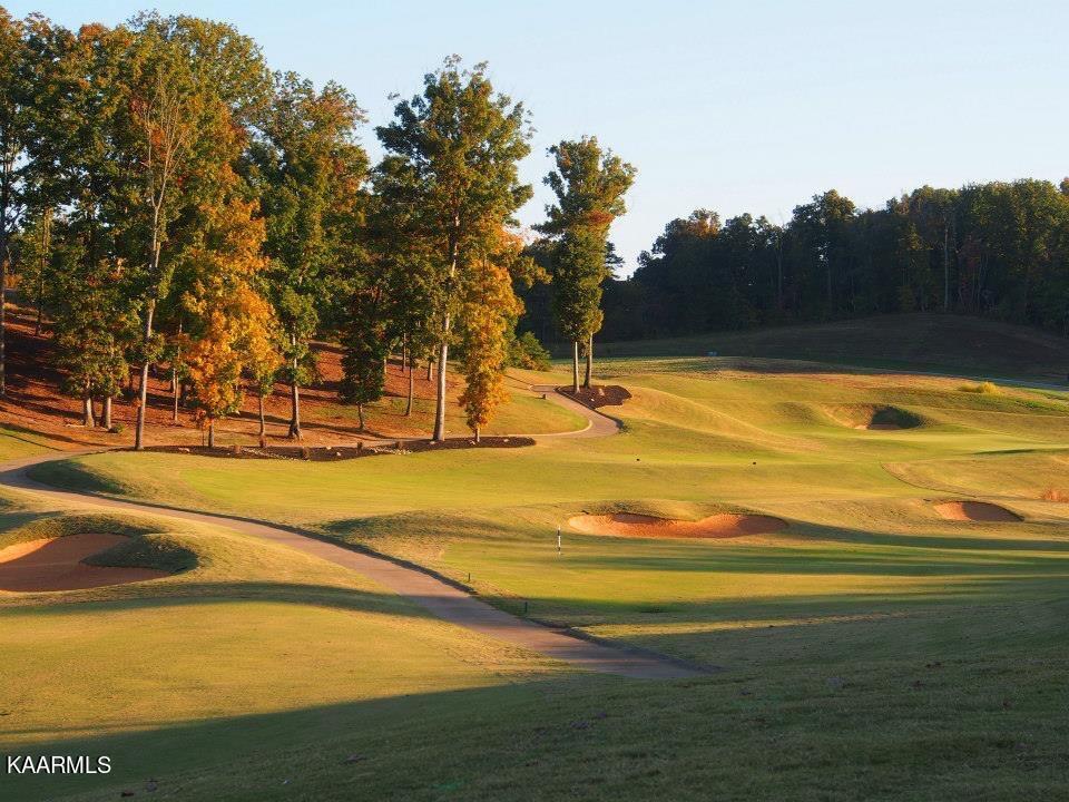 Fort Loudoun and Tellico Lake Real Estate - Image# 12