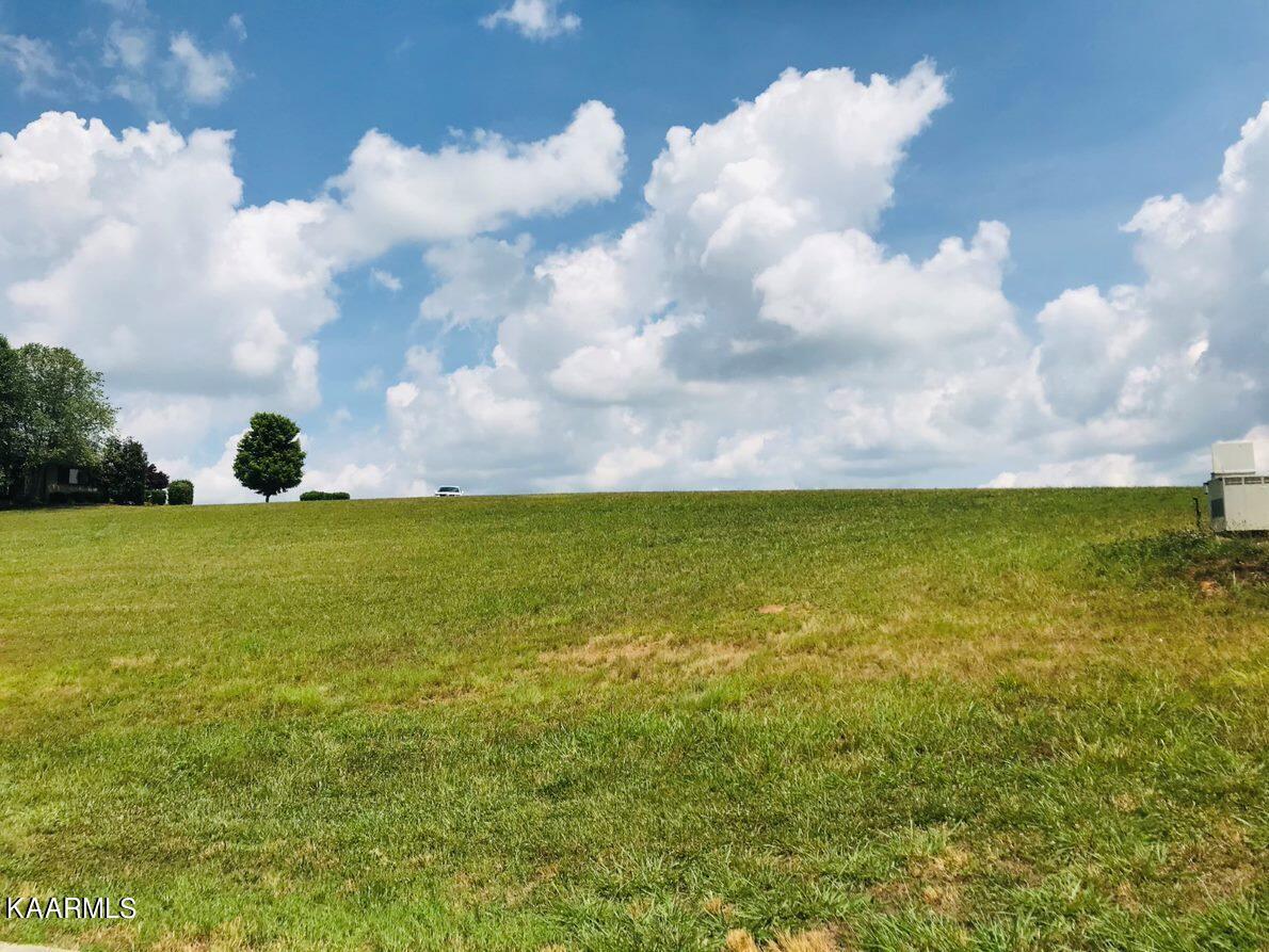 Fort Loudoun and Tellico Lake Real Estate - Image# 8