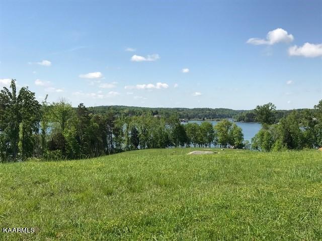 Fort Loudoun and Tellico Lake Real Estate - Image# 7