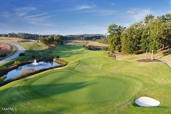 Fort Loudoun and Tellico Lake Real Estate - Image# 13