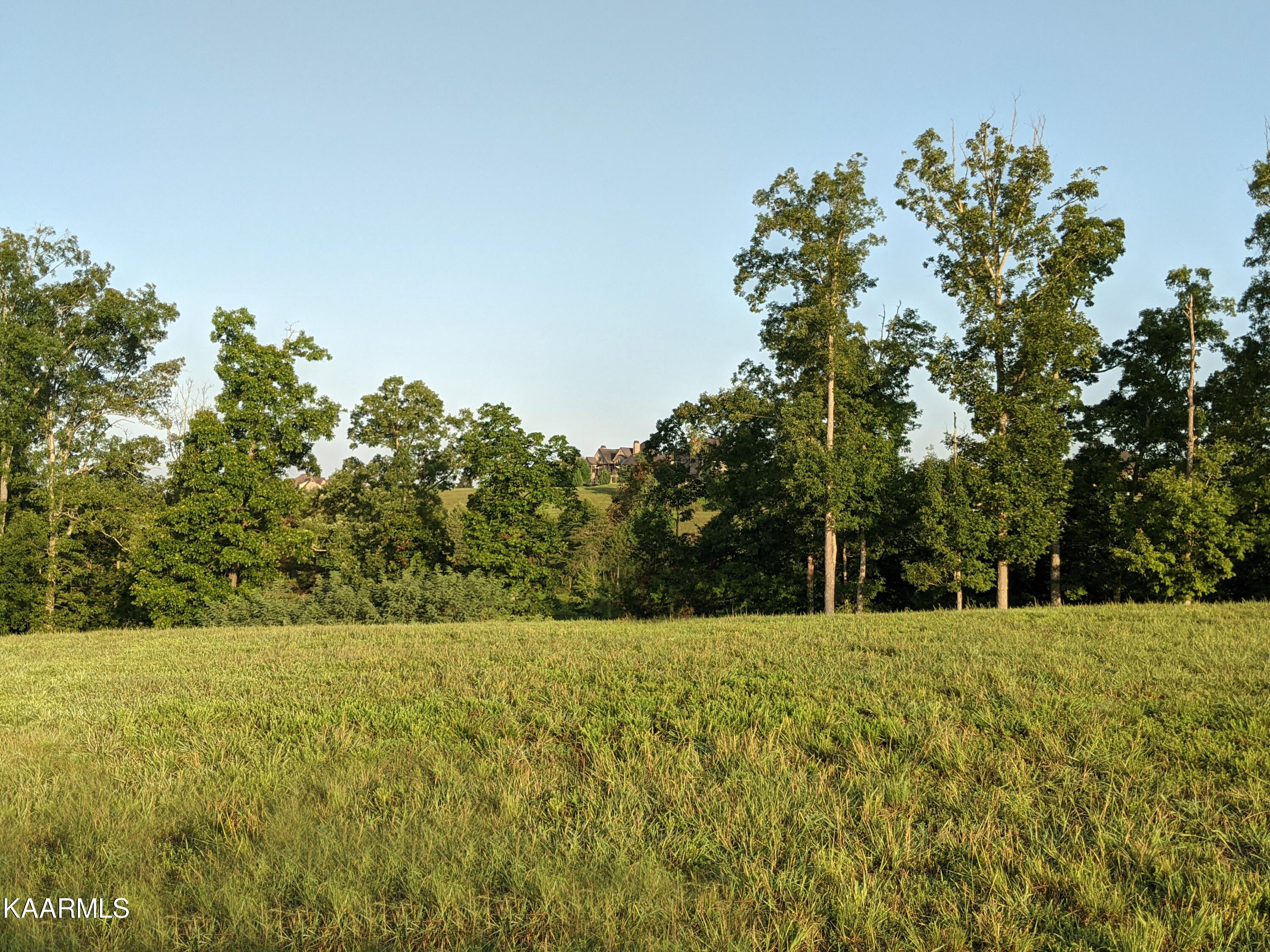 Fort Loudoun and Tellico Lake Real Estate - Image# 9