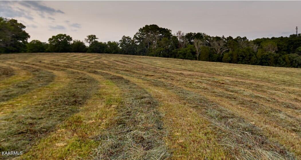 Fort Loudoun and Tellico Lake Real Estate - Image# 2