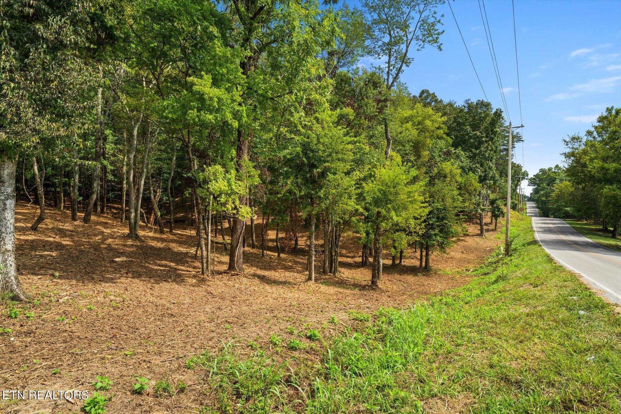 LOT #1 Beals Chapel Rd, Lenoir City, TN - Fort Loudoun and Tellico Lake Real Estate - Image# 12