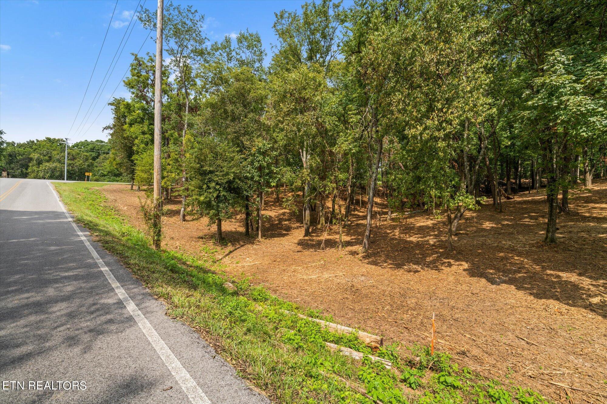 LOT #1 Beals Chapel Rd, Lenoir City, TN - Fort Loudoun and Tellico Lake Real Estate - Image# 13