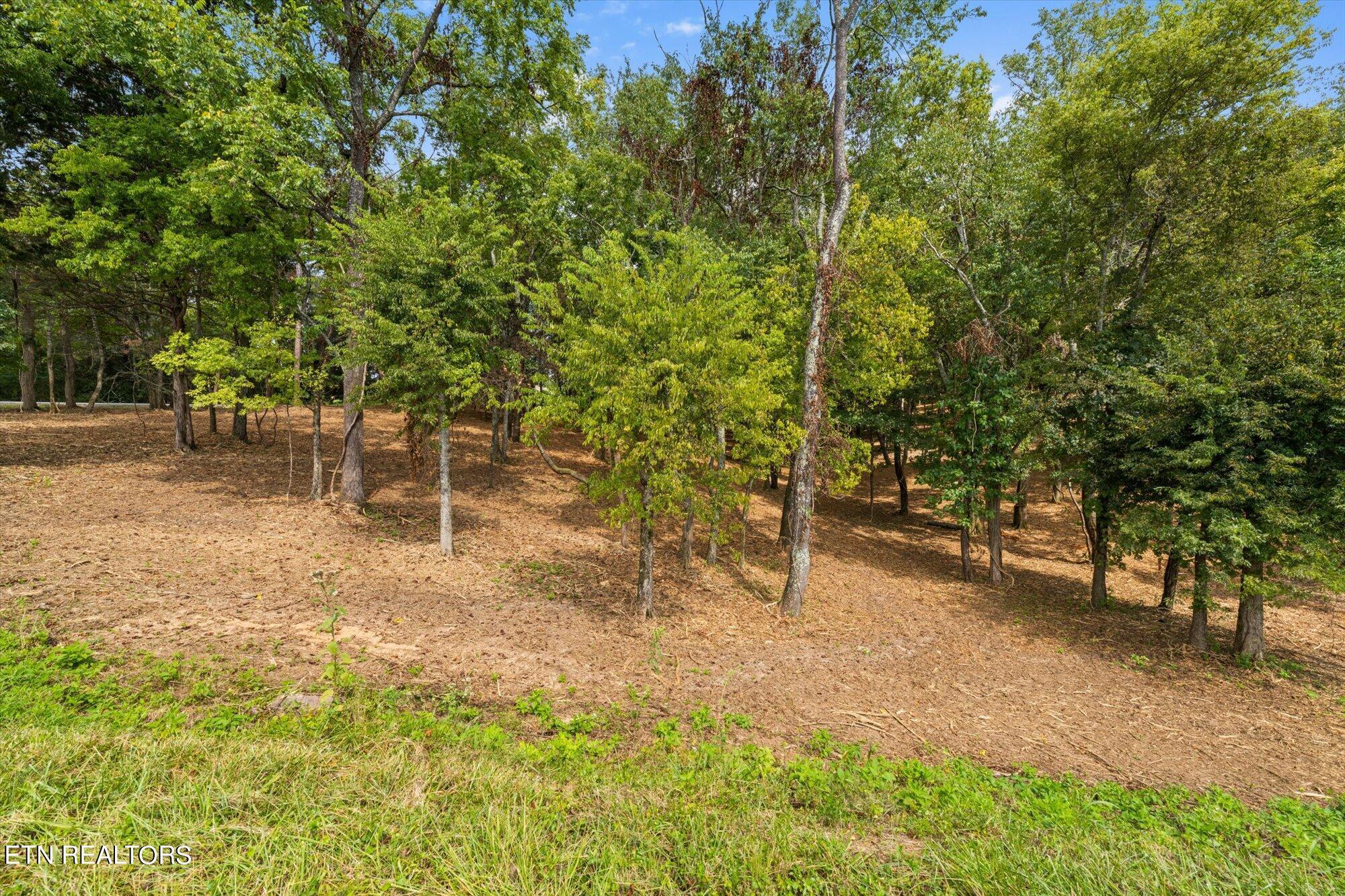 LOT #1 Beals Chapel Rd, Lenoir City, TN - Fort Loudoun and Tellico Lake Real Estate - Image# 14