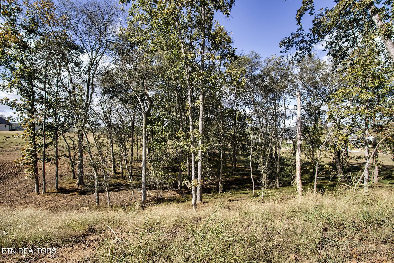 Fort Loudoun and Tellico Lake Real Estate - Image# 7