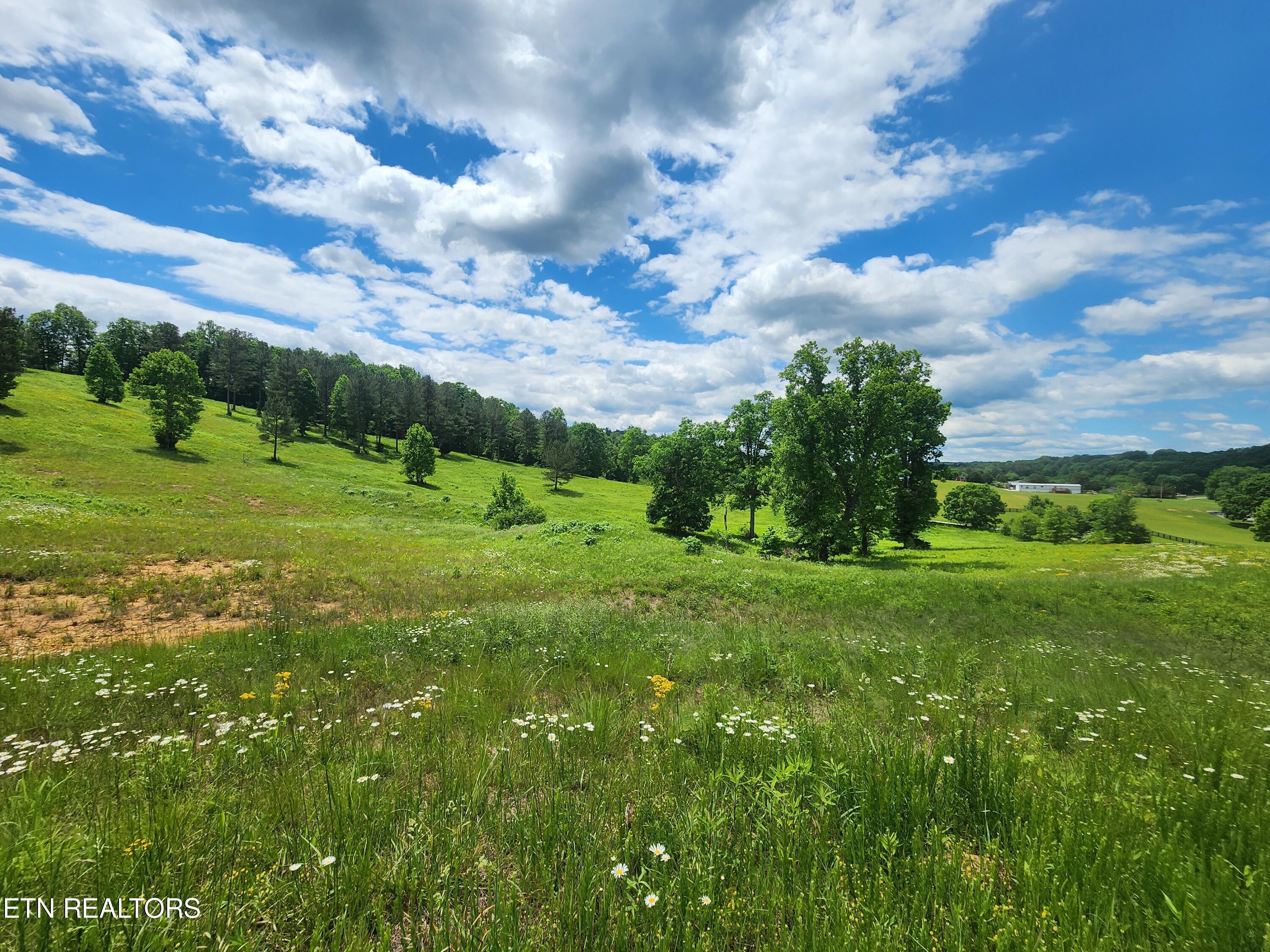 420 Wood Duck Lane, Loudon, TN - Fort Loudoun and Tellico Lake Real Estate - Image# 1