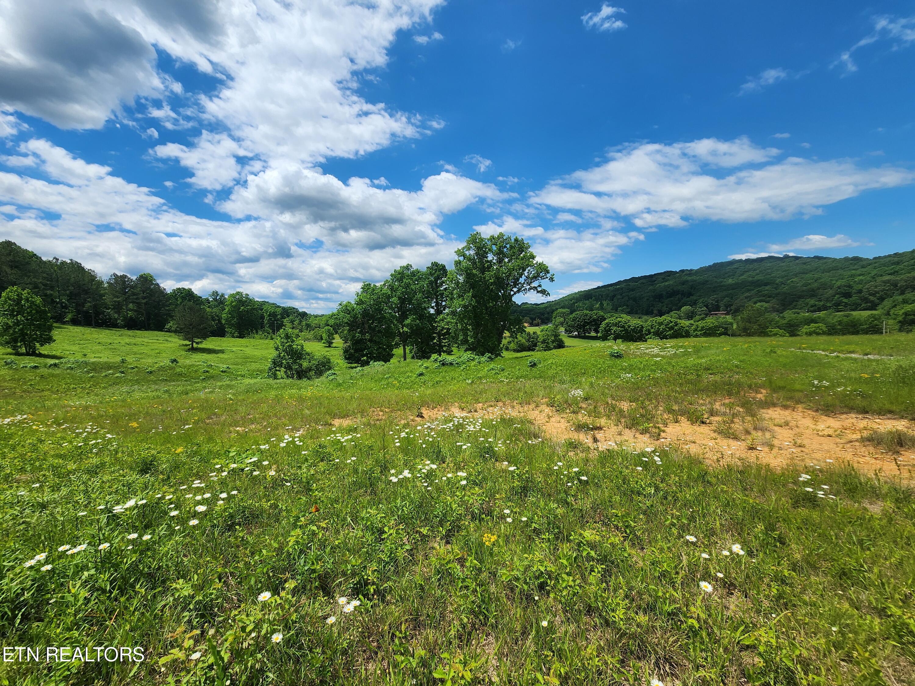 420 Wood Duck Lane, Loudon, TN - Fort Loudoun and Tellico Lake Real Estate - Image# 3
