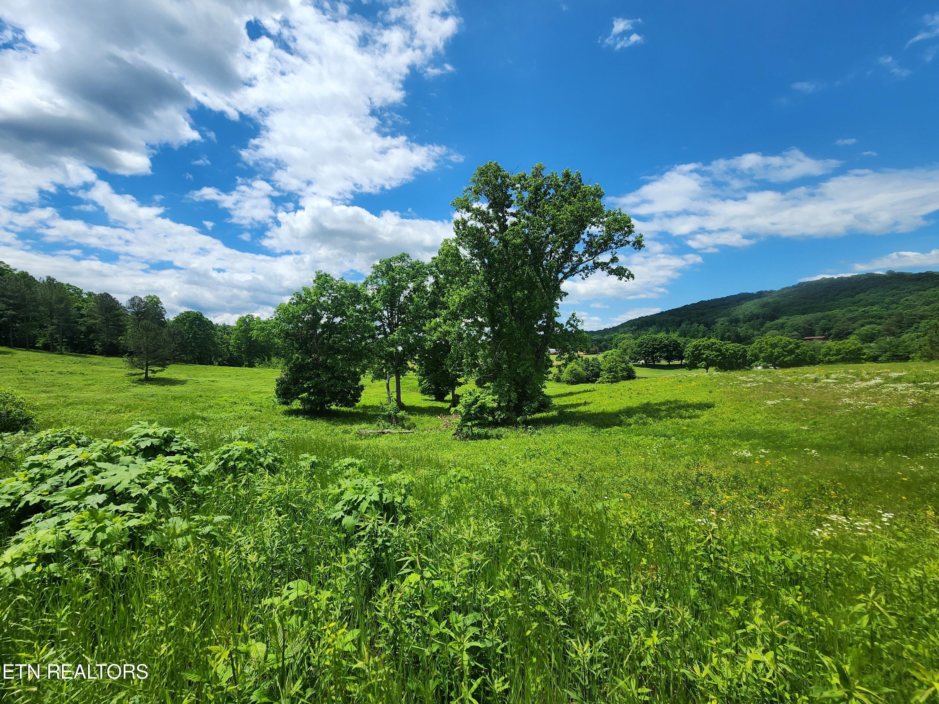 420 Wood Duck Lane, Loudon, TN - Fort Loudoun and Tellico Lake Real Estate - Image# 4