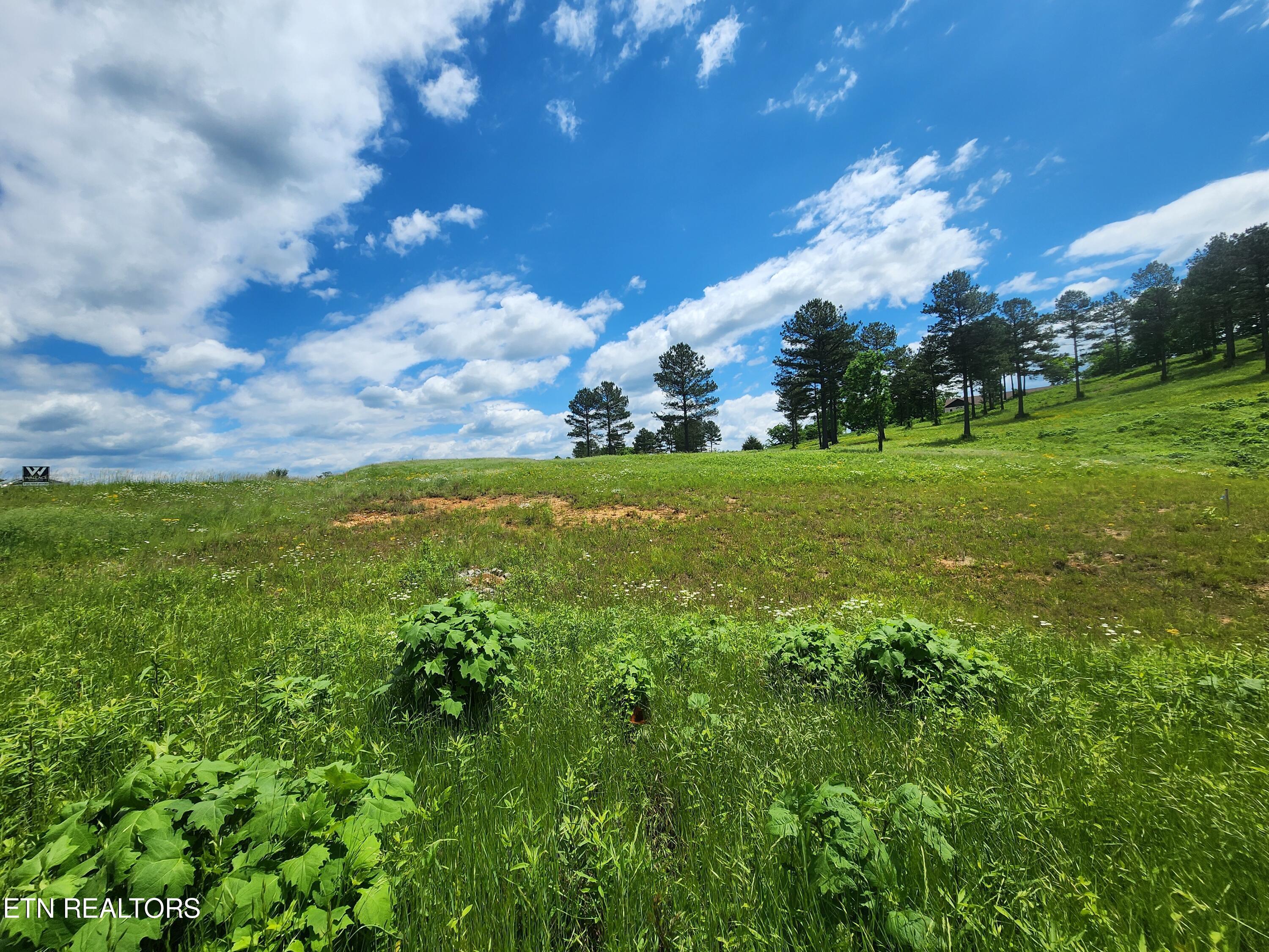 420 Wood Duck Lane, Loudon, TN - Fort Loudoun and Tellico Lake Real Estate - Image# 5