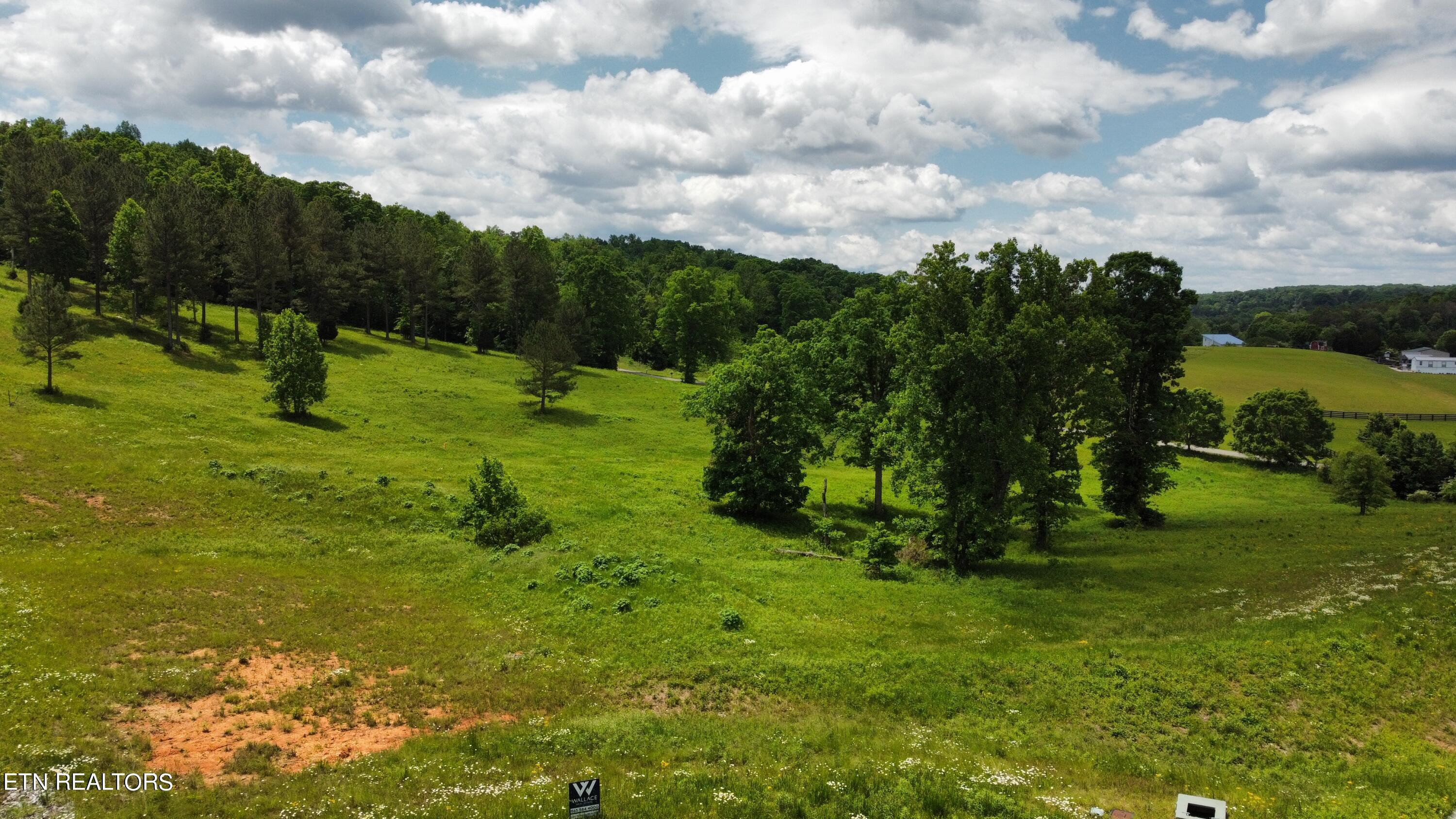 420 Wood Duck Lane, Loudon, TN - Fort Loudoun and Tellico Lake Real Estate - Image# 2