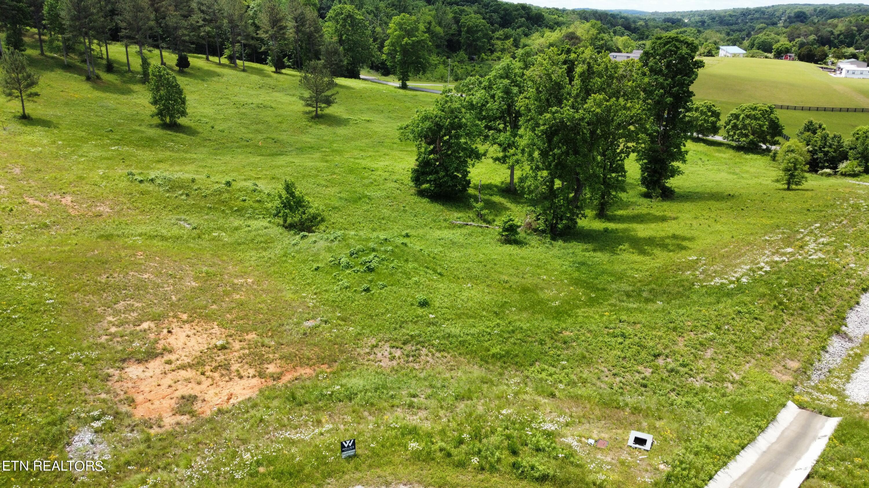 420 Wood Duck Lane, Loudon, TN - Fort Loudoun and Tellico Lake Real Estate - Image# 6