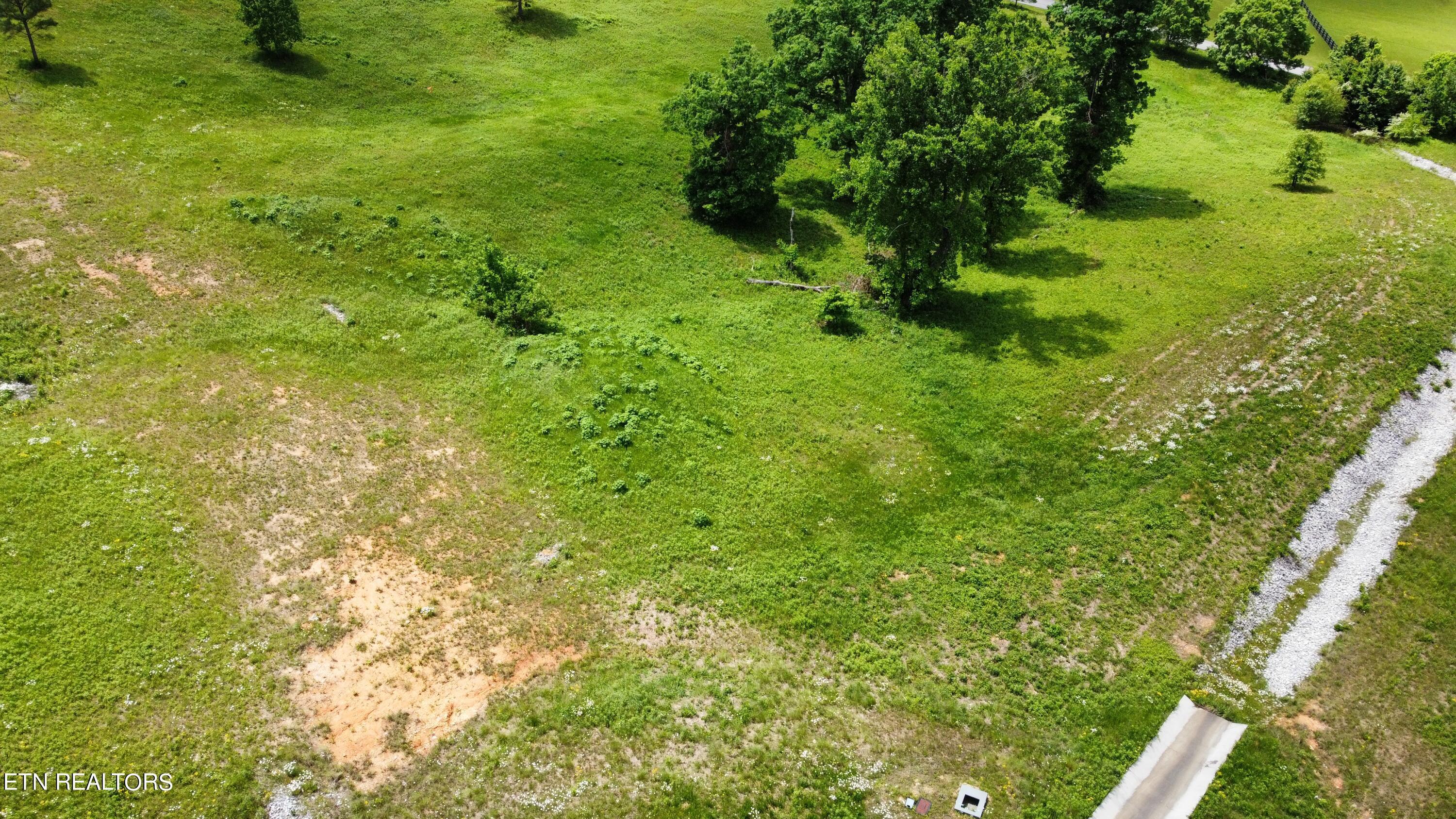 420 Wood Duck Lane, Loudon, TN - Fort Loudoun and Tellico Lake Real Estate - Image# 7