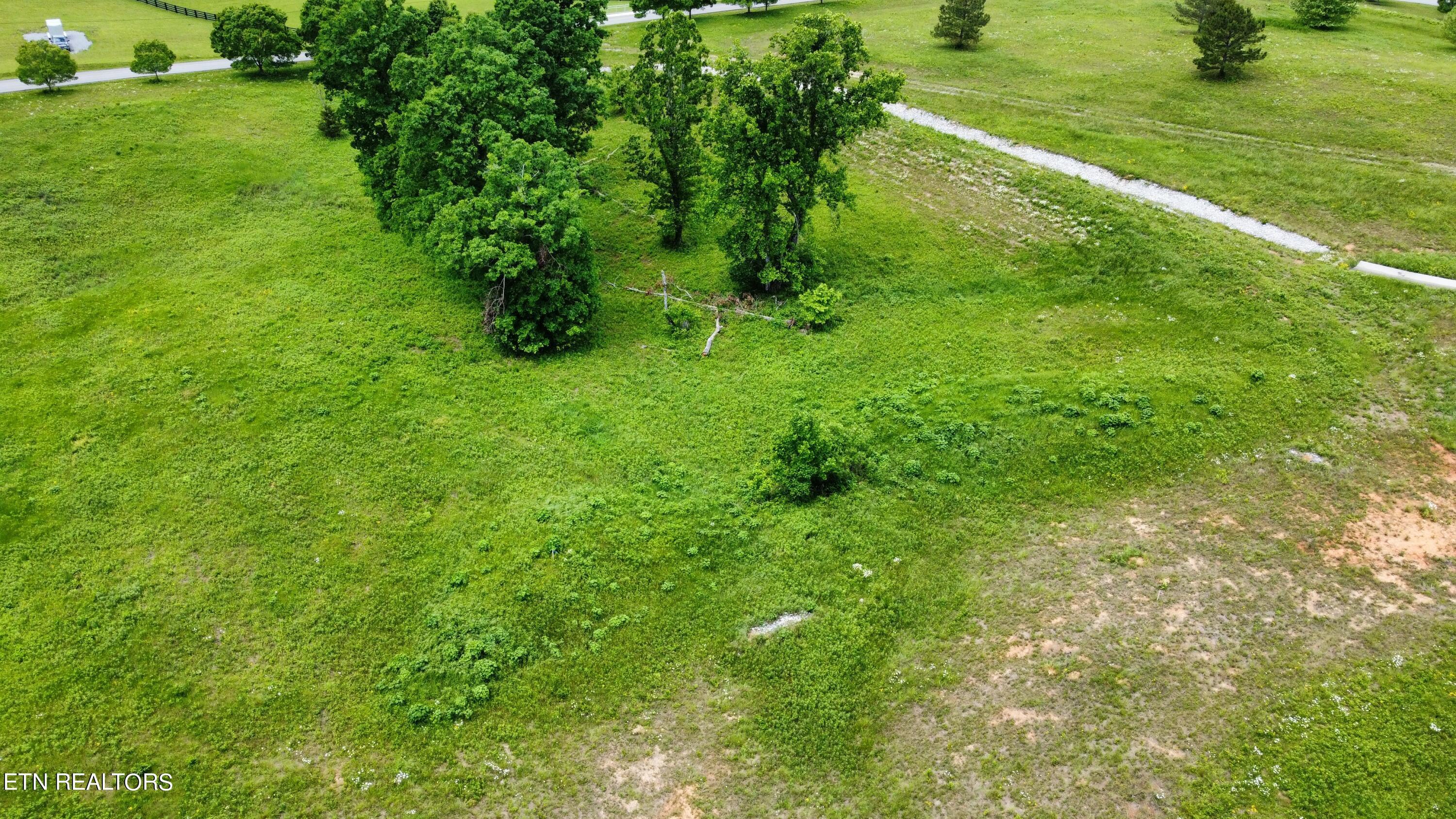 420 Wood Duck Lane, Loudon, TN - Fort Loudoun and Tellico Lake Real Estate - Image# 8