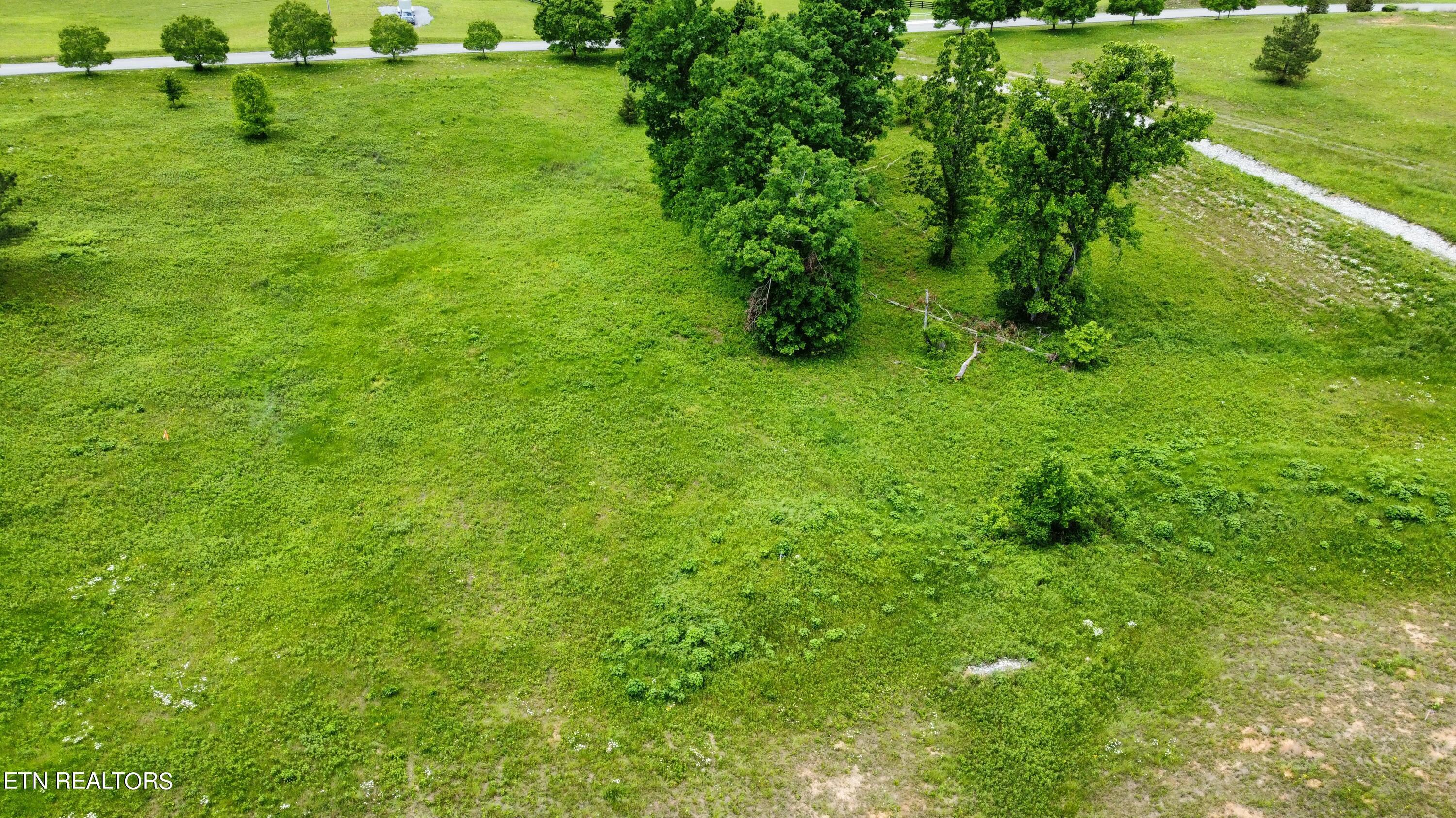 420 Wood Duck Lane, Loudon, TN - Fort Loudoun and Tellico Lake Real Estate - Image# 9