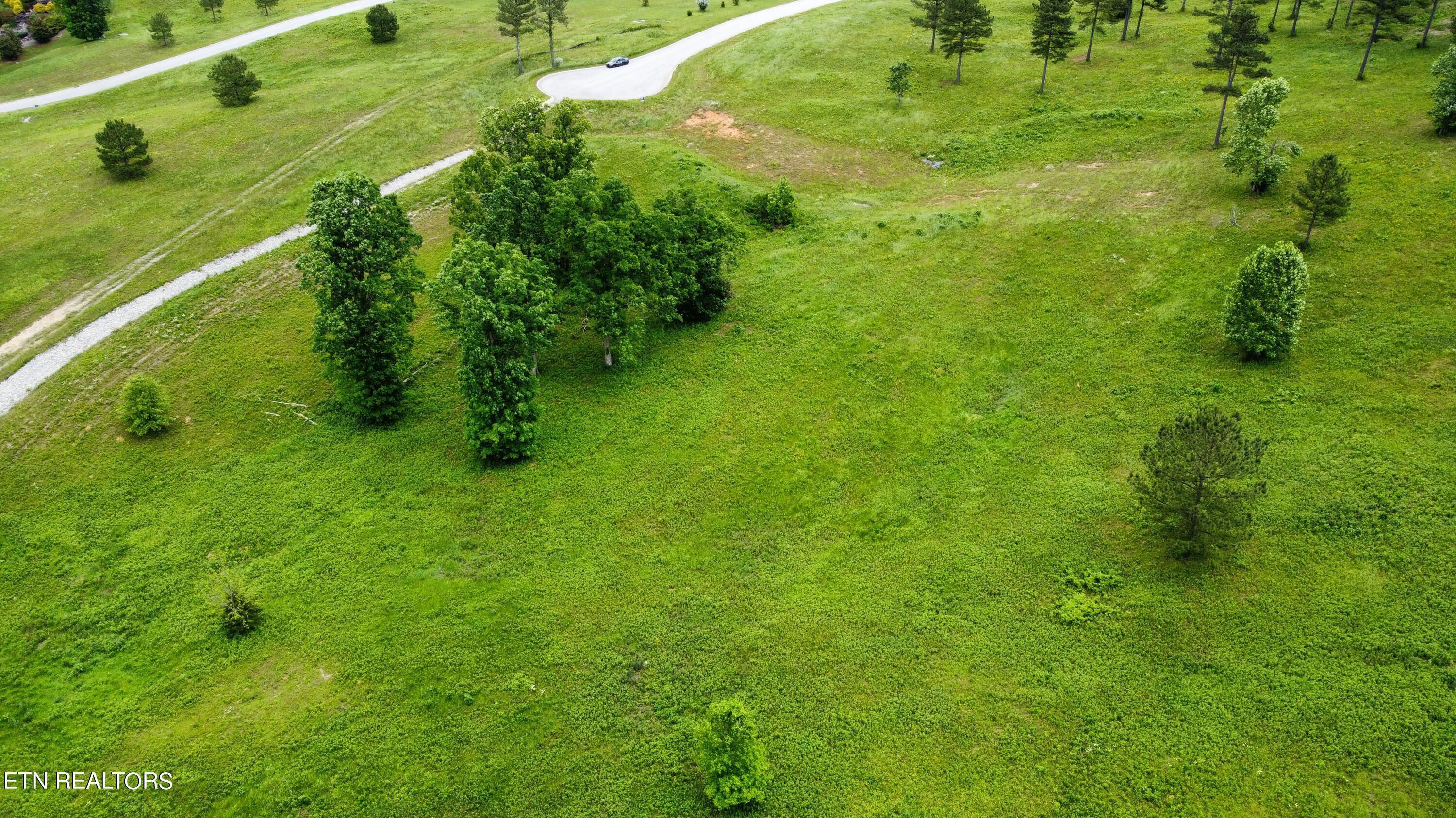 420 Wood Duck Lane, Loudon, TN - Fort Loudoun and Tellico Lake Real Estate - Image# 10