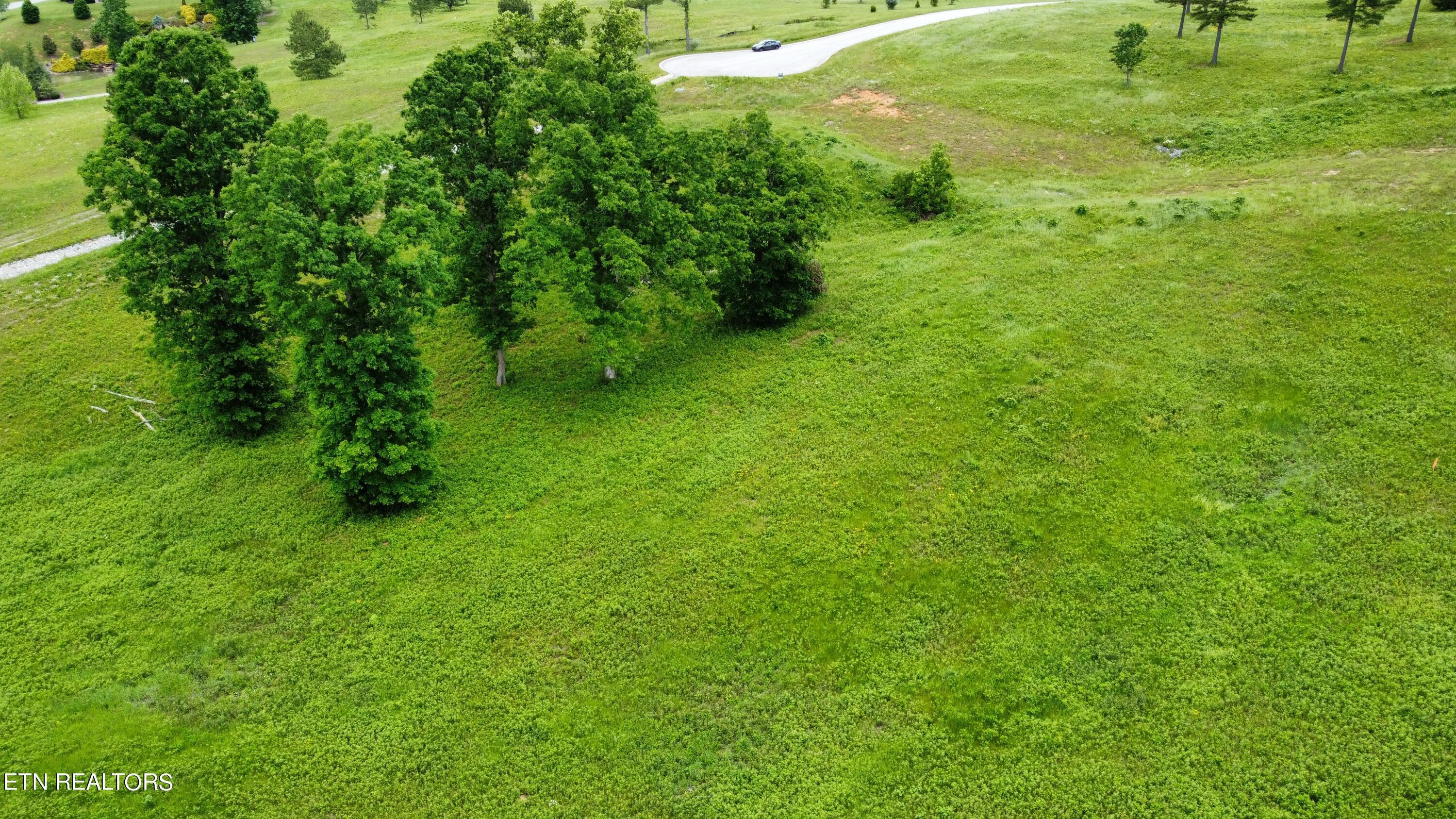 420 Wood Duck Lane, Loudon, TN - Fort Loudoun and Tellico Lake Real Estate - Image# 11
