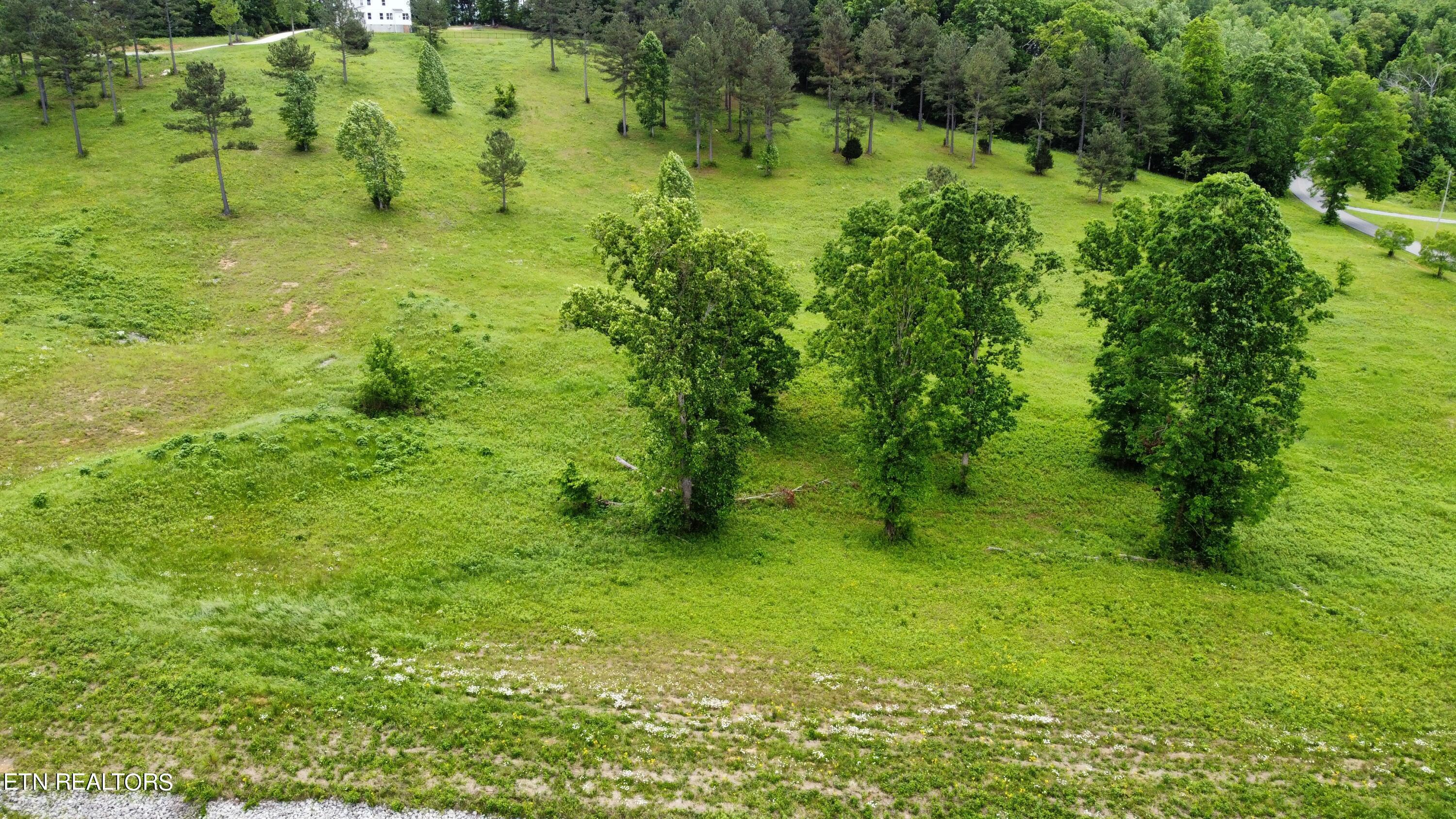 420 Wood Duck Lane, Loudon, TN - Fort Loudoun and Tellico Lake Real Estate - Image# 12