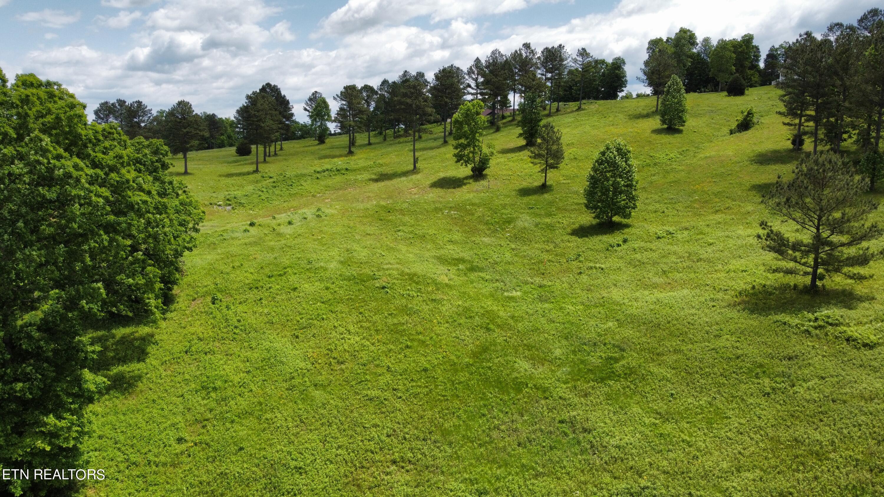 420 Wood Duck Lane, Loudon, TN - Fort Loudoun and Tellico Lake Real Estate - Image# 16