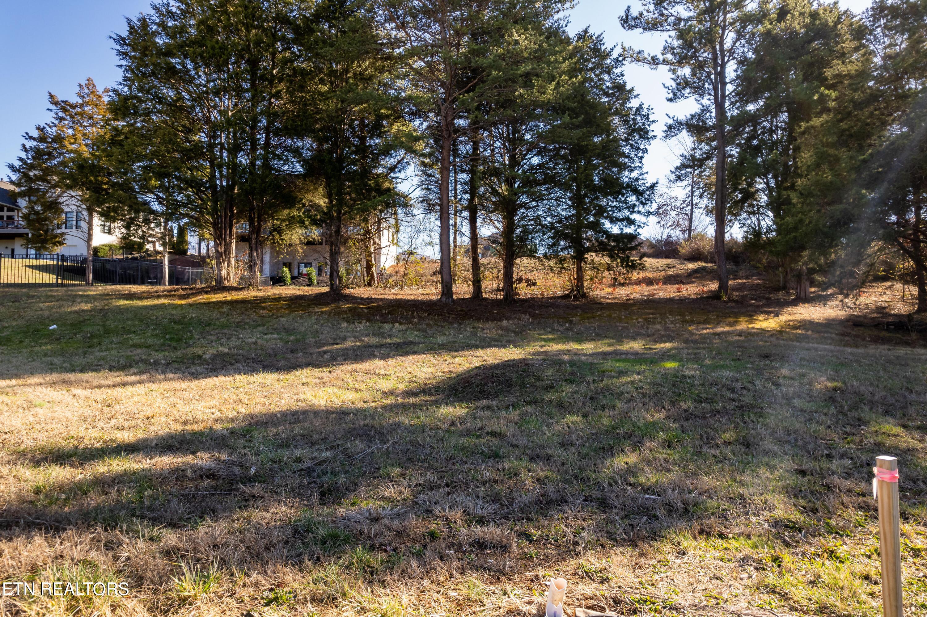 Fort Loudoun and Tellico Lake Real Estate - Image# 15