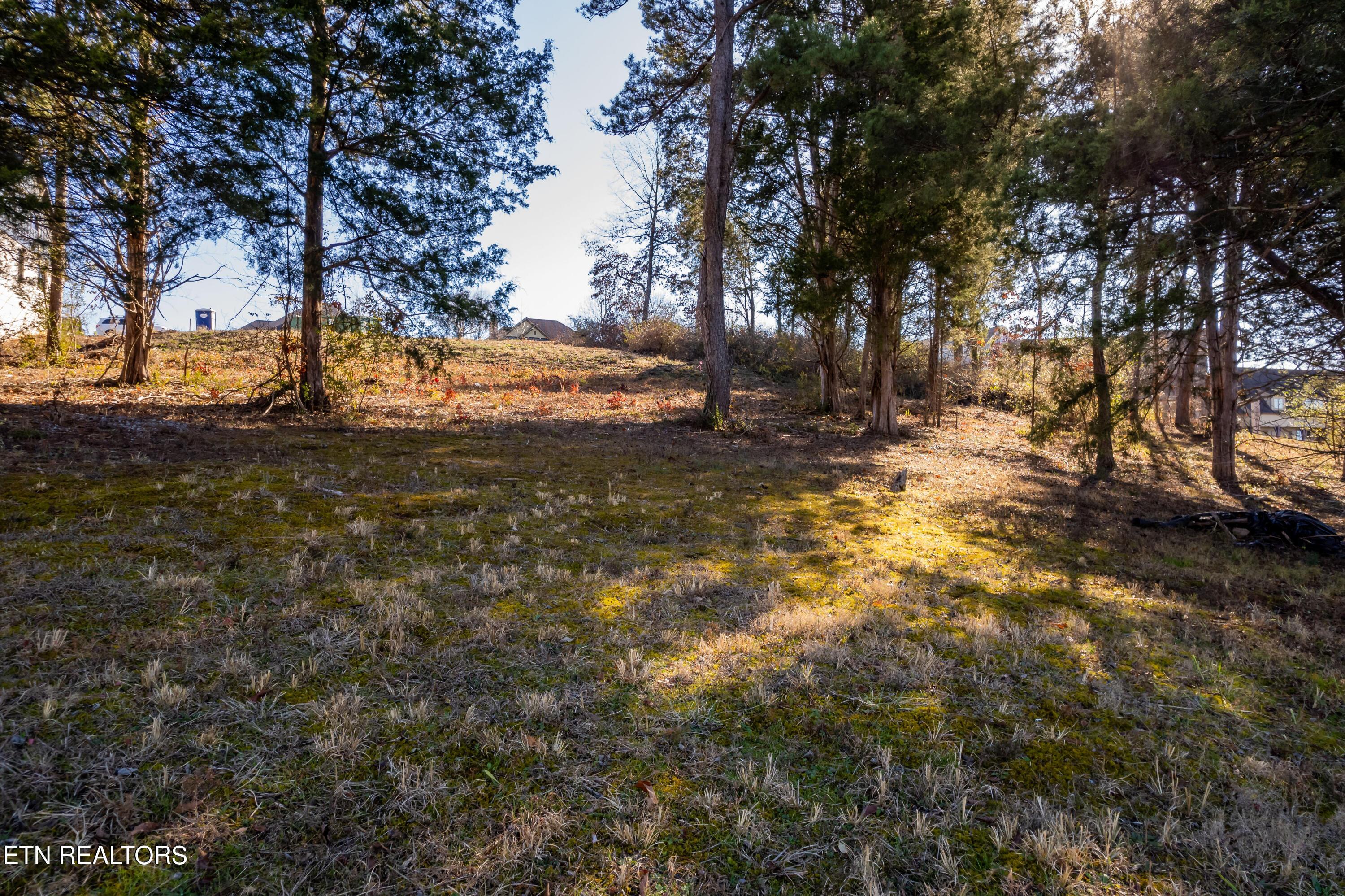 Fort Loudoun and Tellico Lake Real Estate - Image# 16