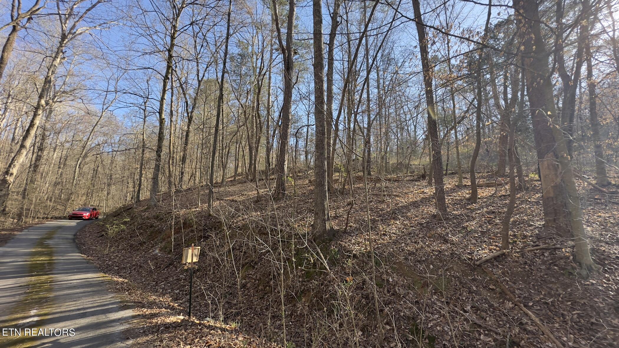 Fort Loudoun and Tellico Lake Real Estate - Image# 5