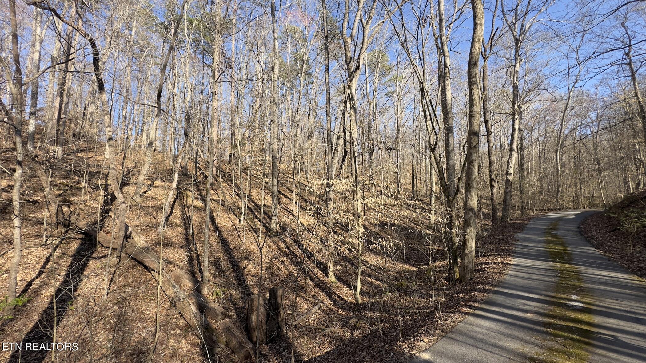 Fort Loudoun and Tellico Lake Real Estate - Image# 6