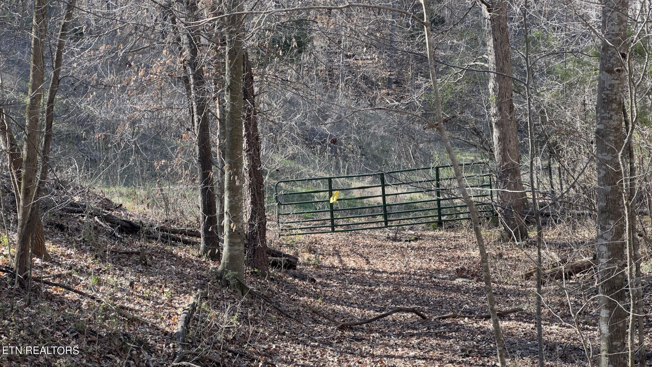 Fort Loudoun and Tellico Lake Real Estate - Image# 8