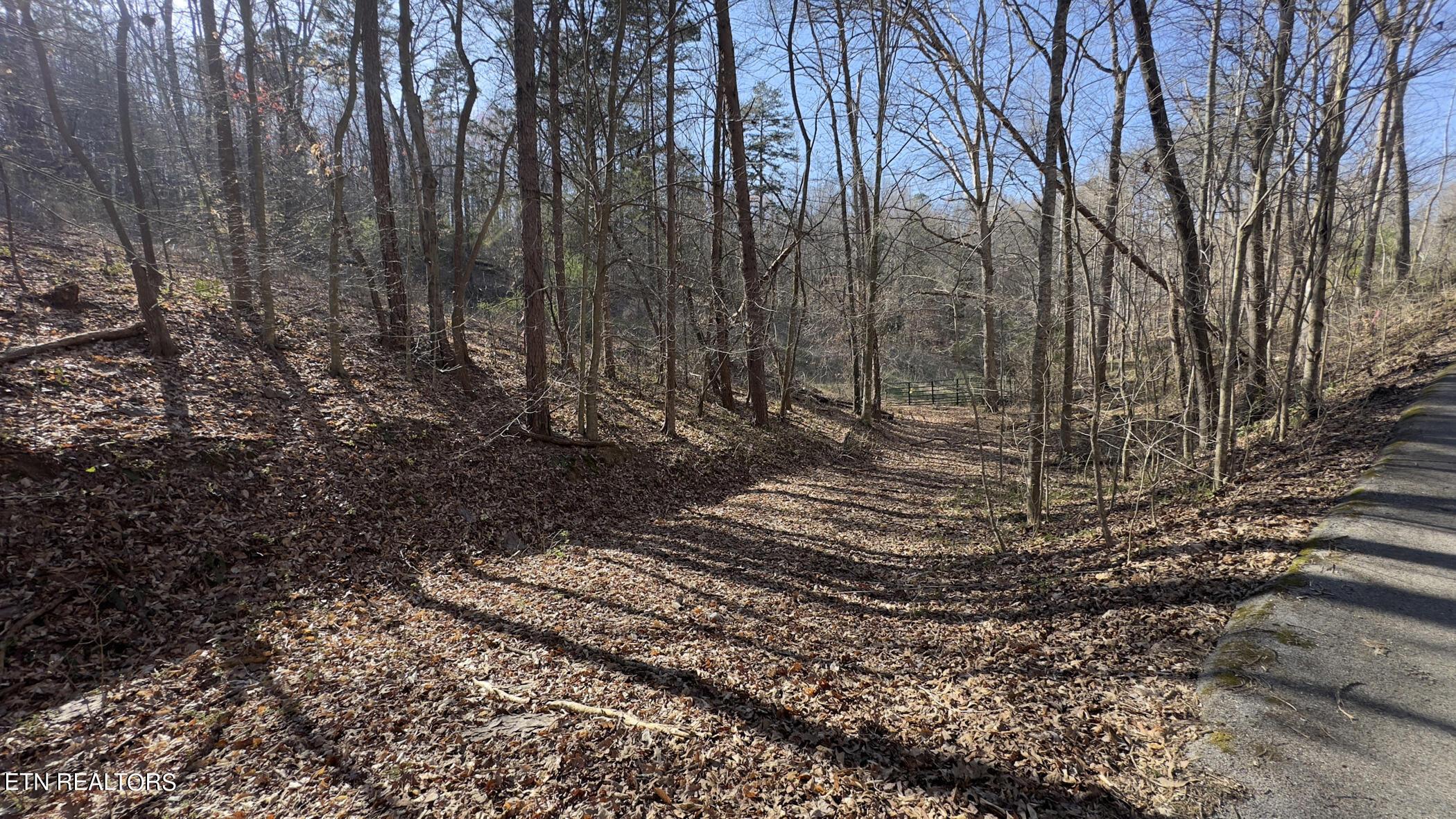 Fort Loudoun and Tellico Lake Real Estate - Image# 9