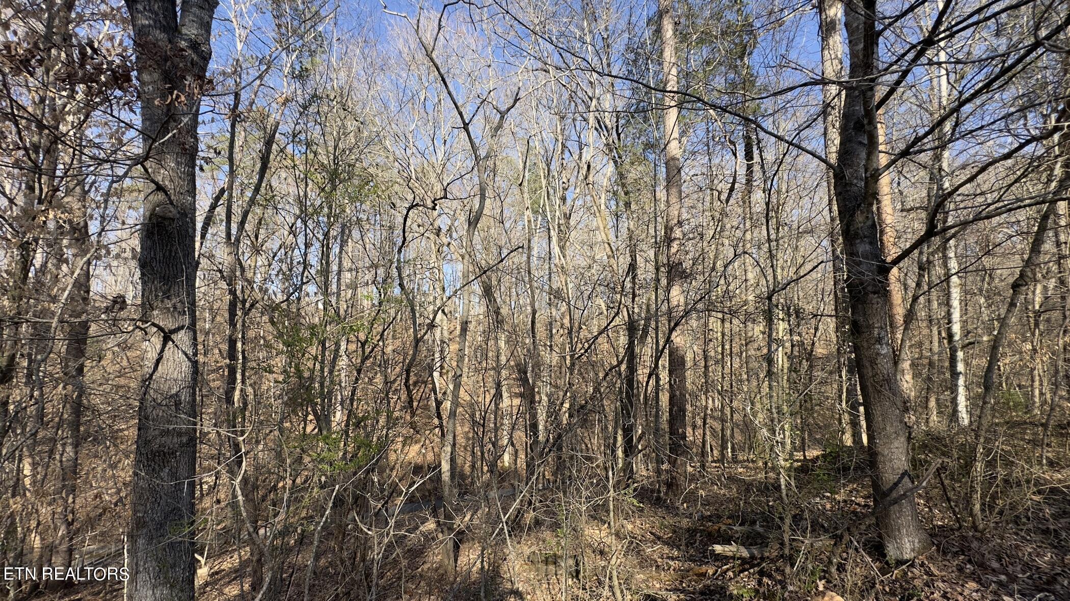 Fort Loudoun and Tellico Lake Real Estate - Image# 11