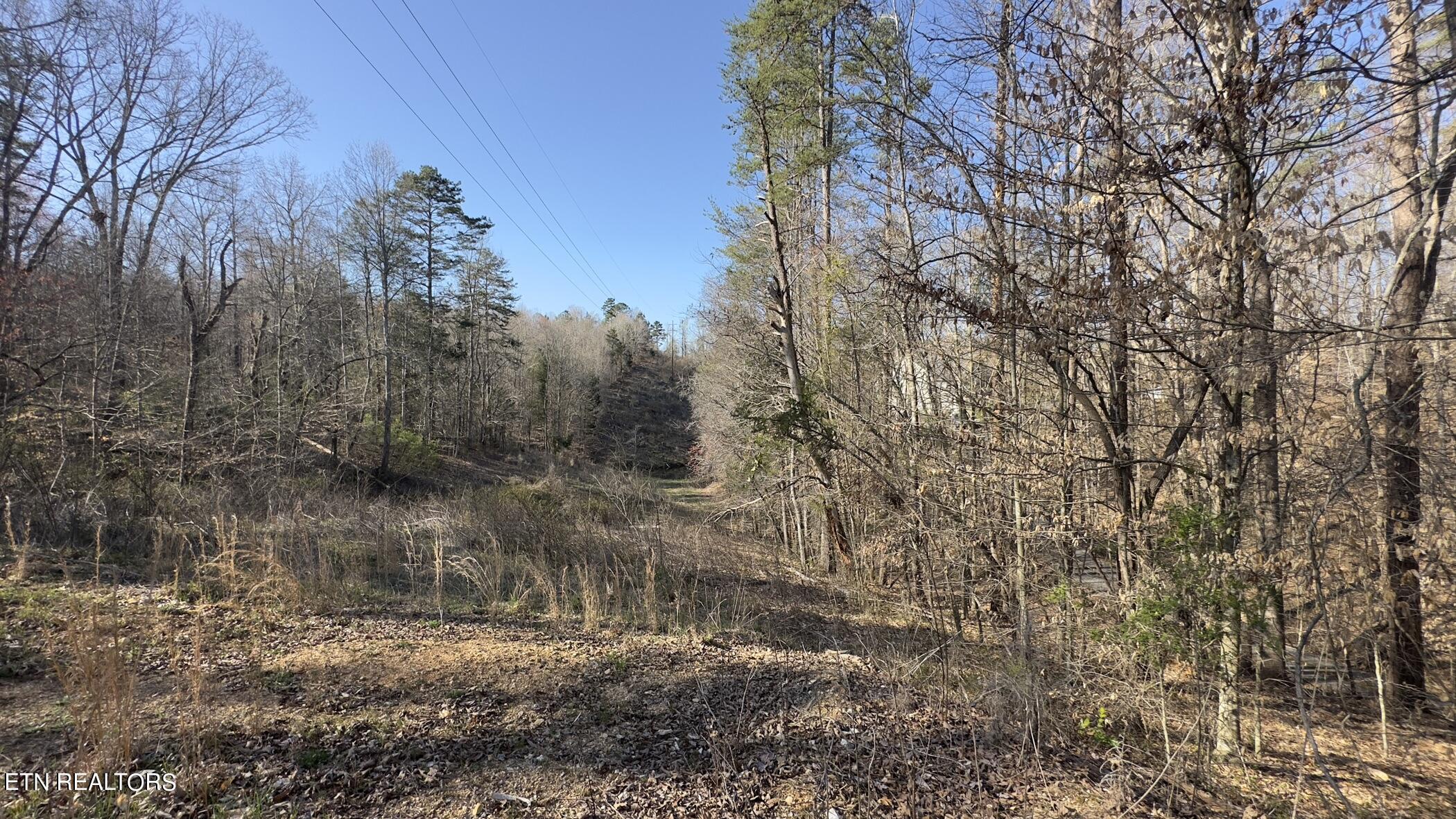 Fort Loudoun and Tellico Lake Real Estate - Image# 13