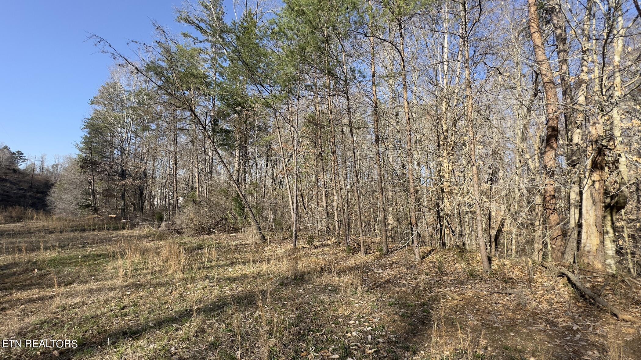 Fort Loudoun and Tellico Lake Real Estate - Image# 14