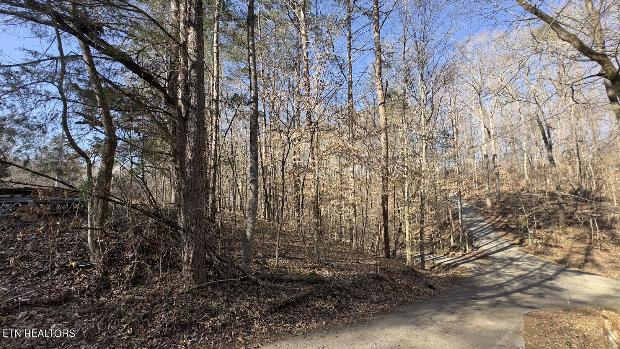 Fort Loudoun and Tellico Lake Real Estate - Image# 15