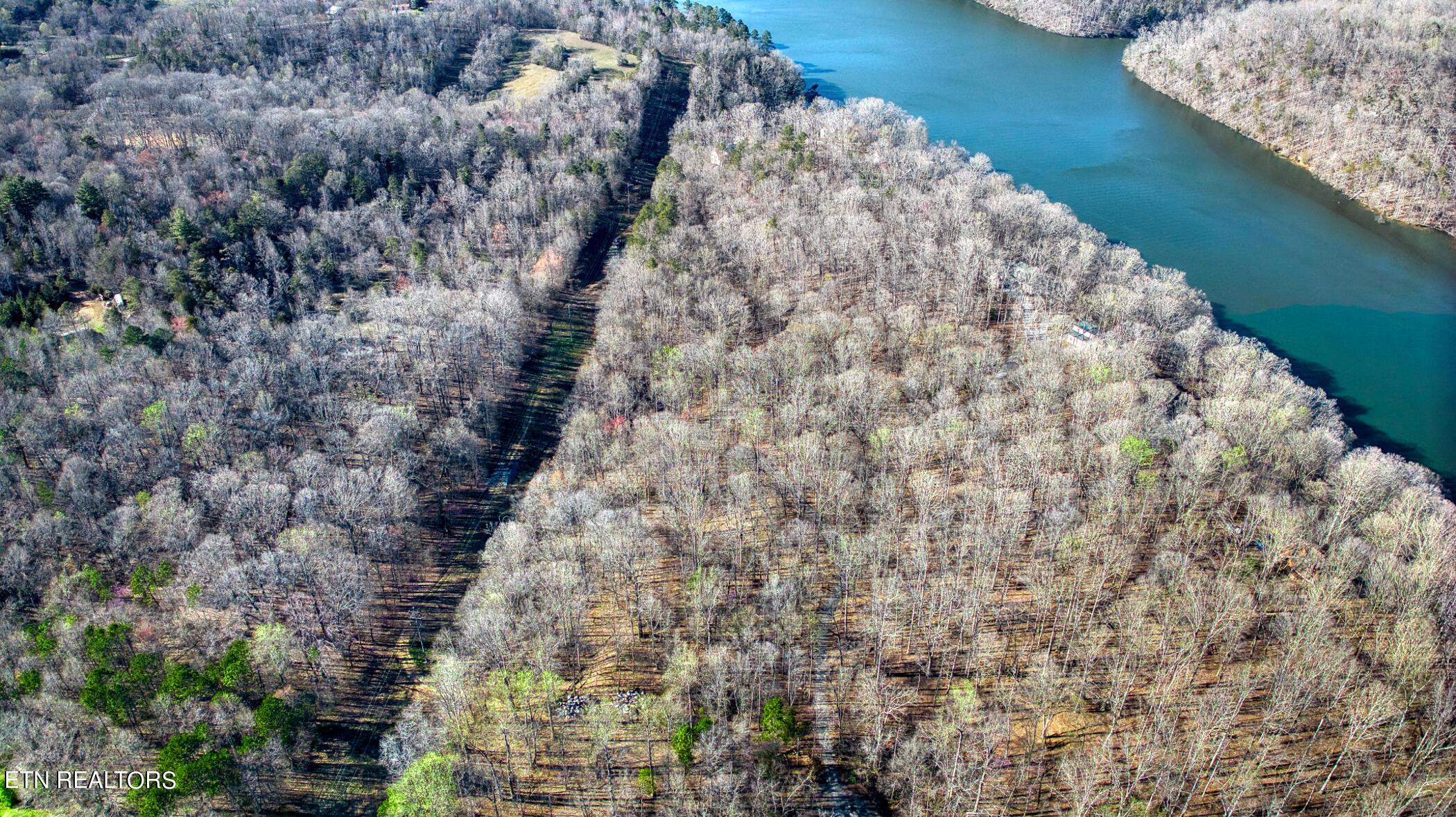 Fort Loudoun and Tellico Lake Real Estate - Image# 19