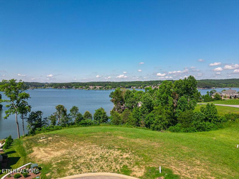 Fort Loudoun and Tellico Lake Real Estate - Image# 3