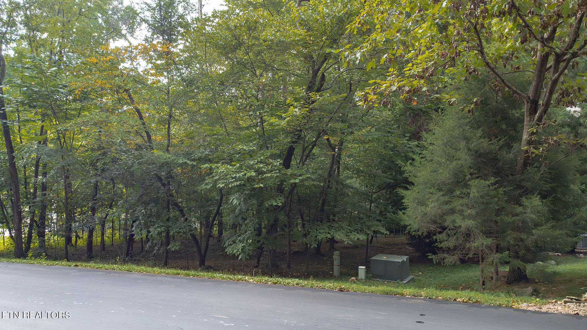 Fort Loudoun and Tellico Lake Real Estate - Image# 3