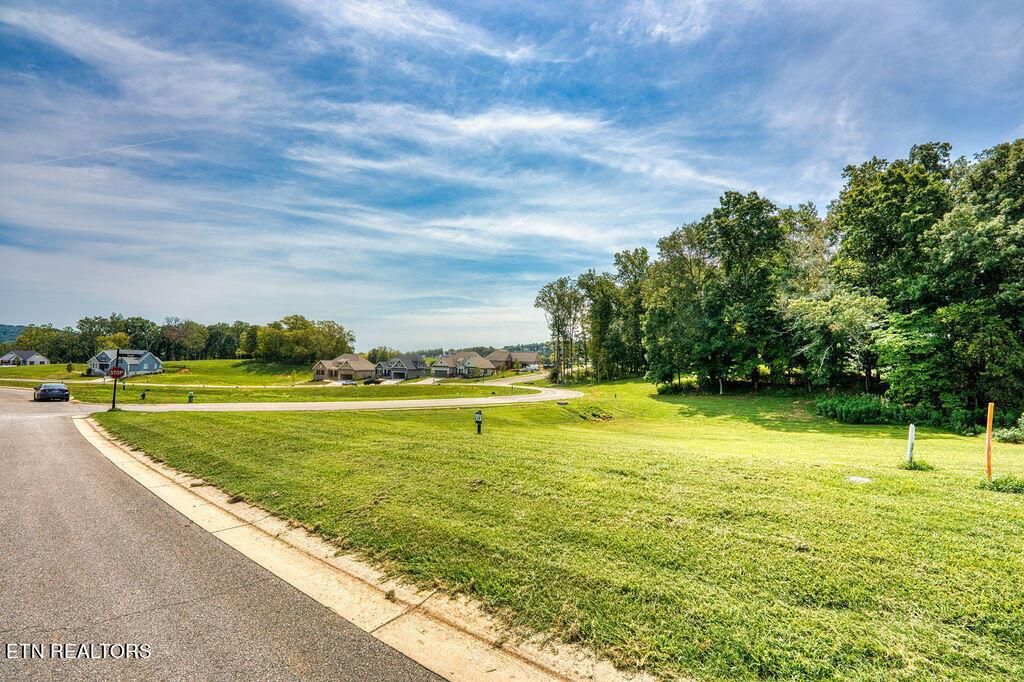 Fort Loudoun and Tellico Lake Real Estate - Image# 19