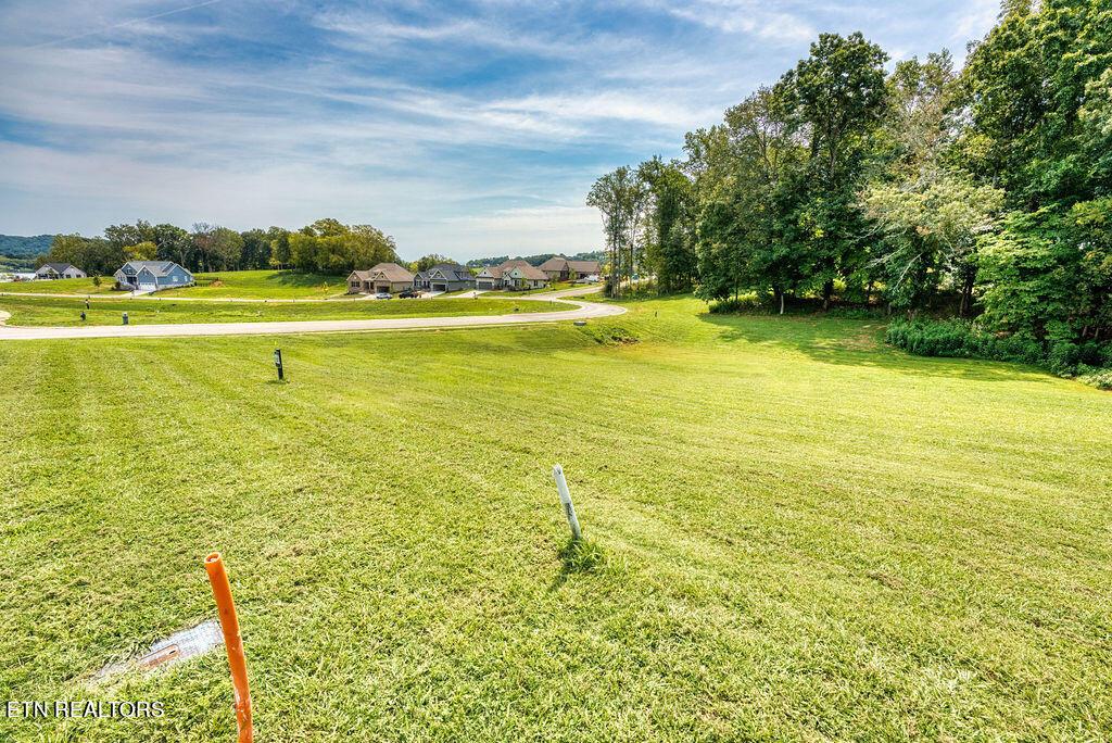 Fort Loudoun and Tellico Lake Real Estate - Image# 20