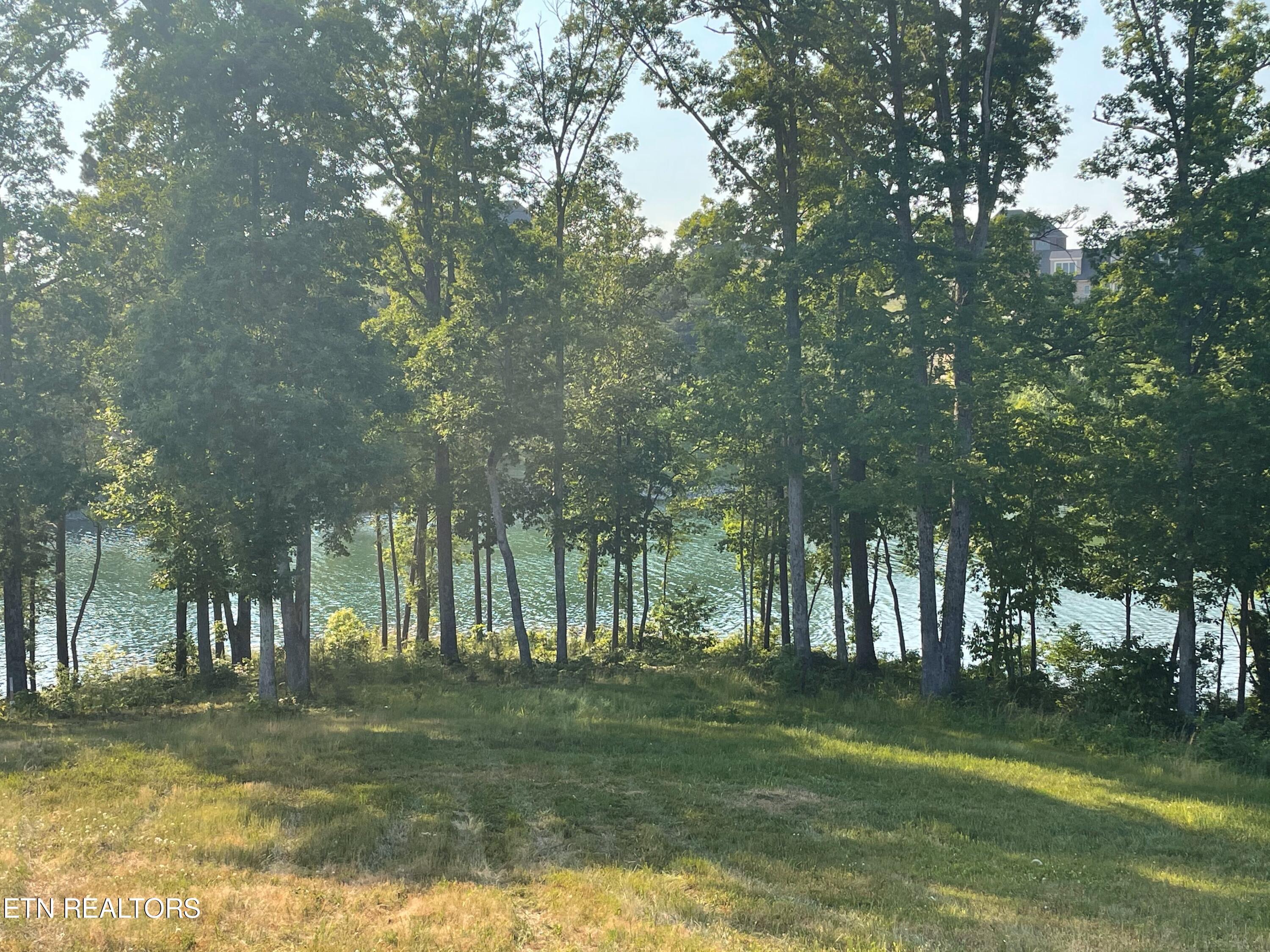 Fort Loudoun and Tellico Lake Real Estate - Image# 17