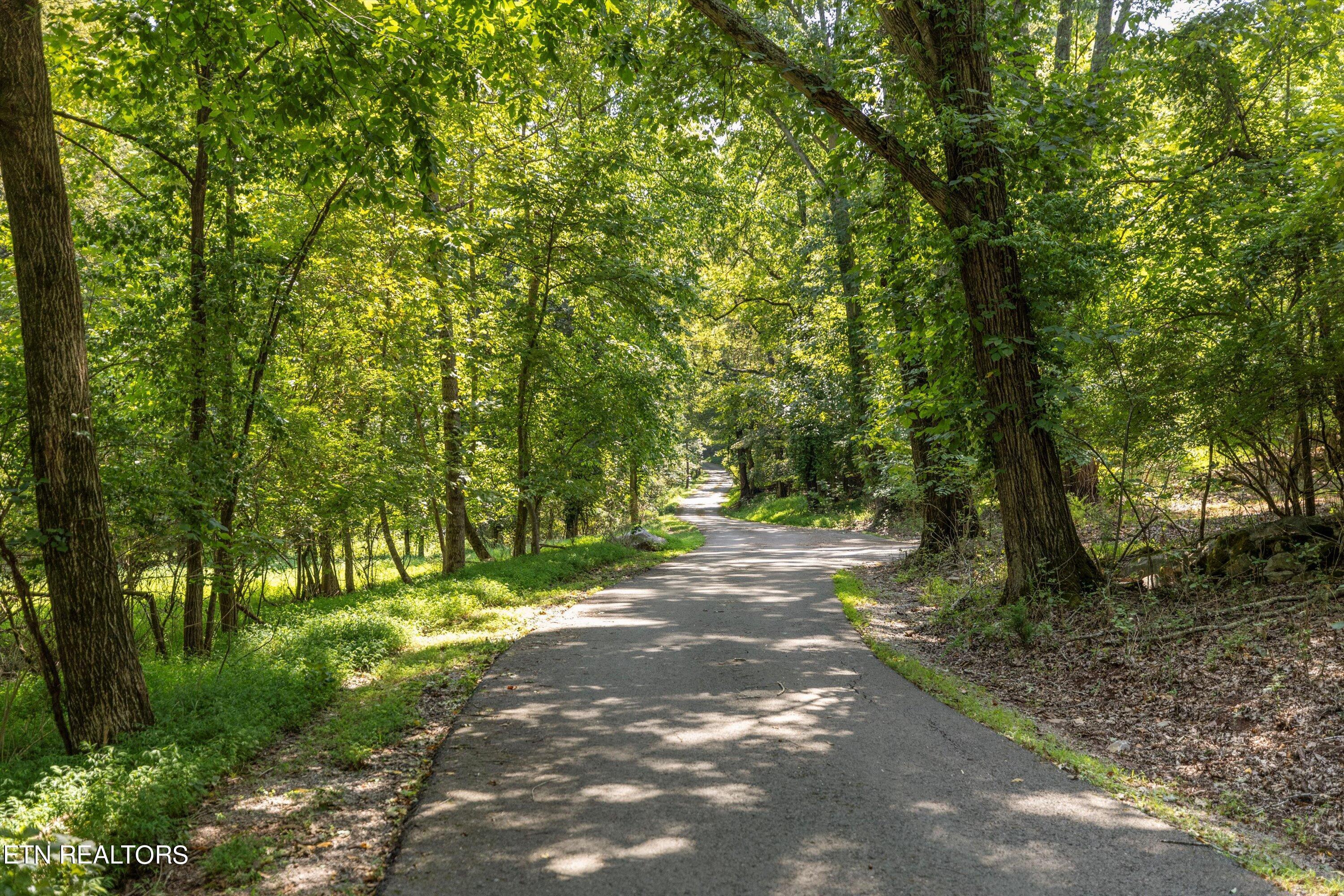 Fort Loudoun and Tellico Lake Real Estate - Image# 13