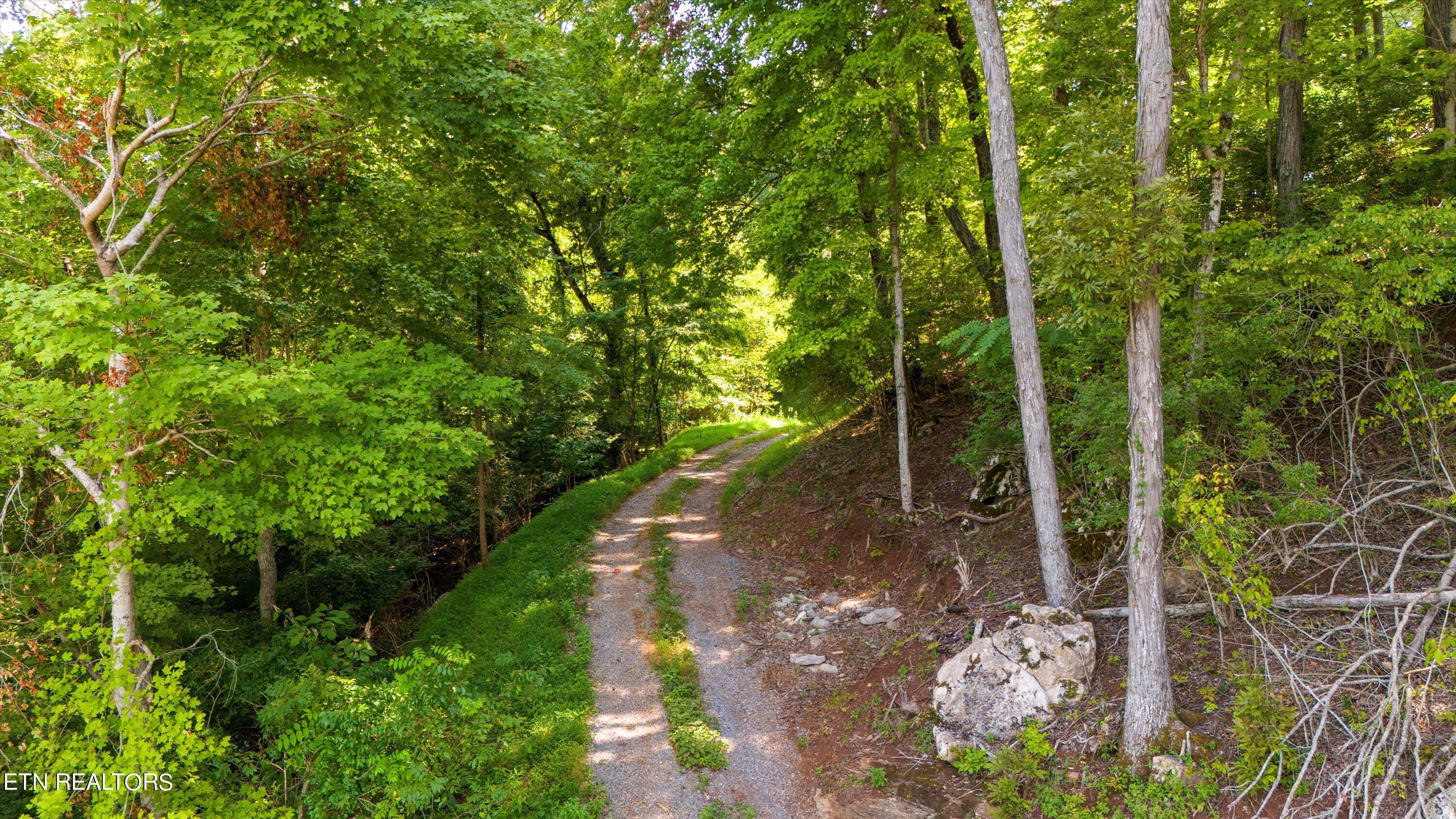 Fort Loudoun and Tellico Lake Real Estate - Image# 14