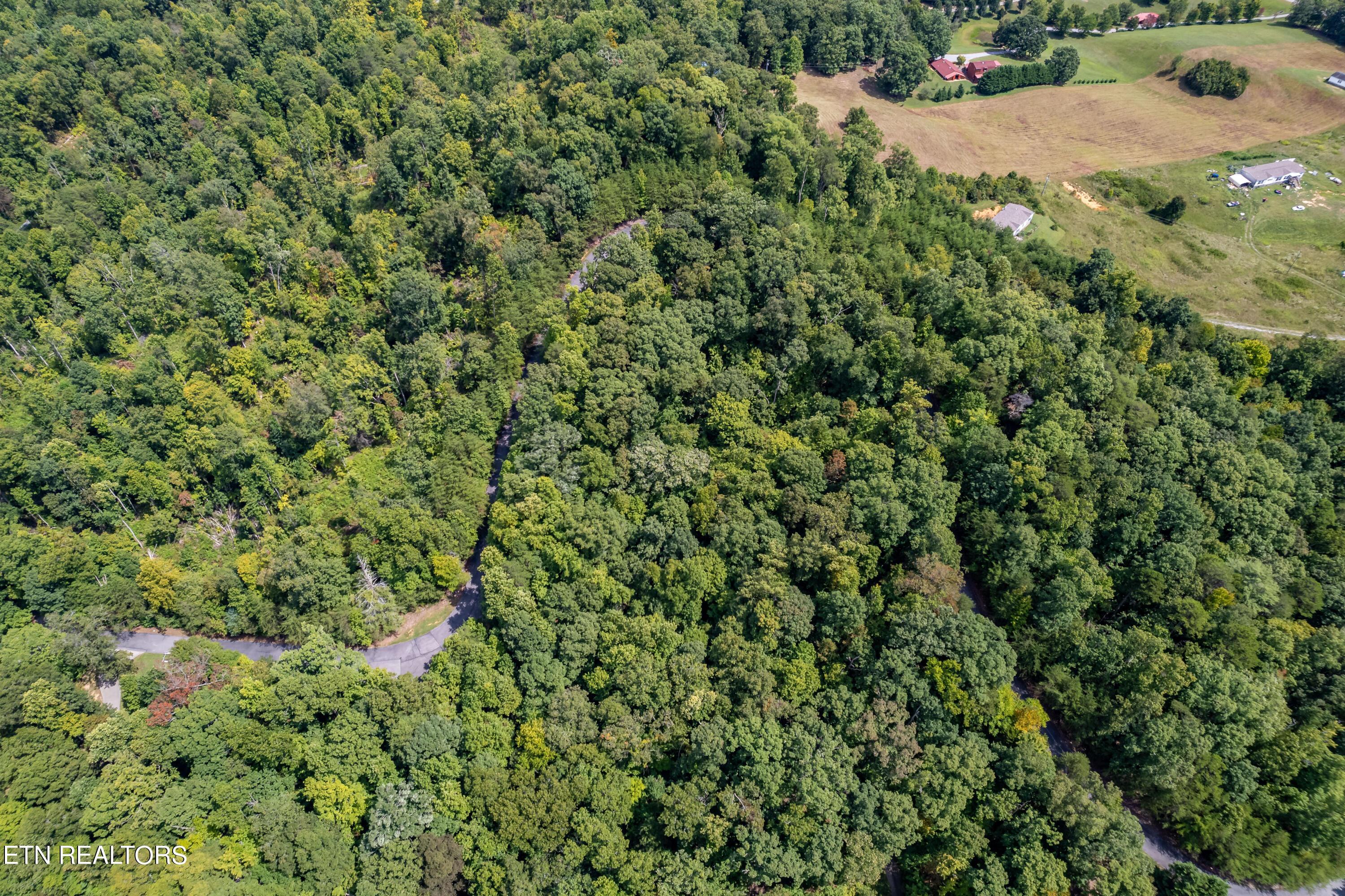 Fort Loudoun and Tellico Lake Real Estate - Image# 6