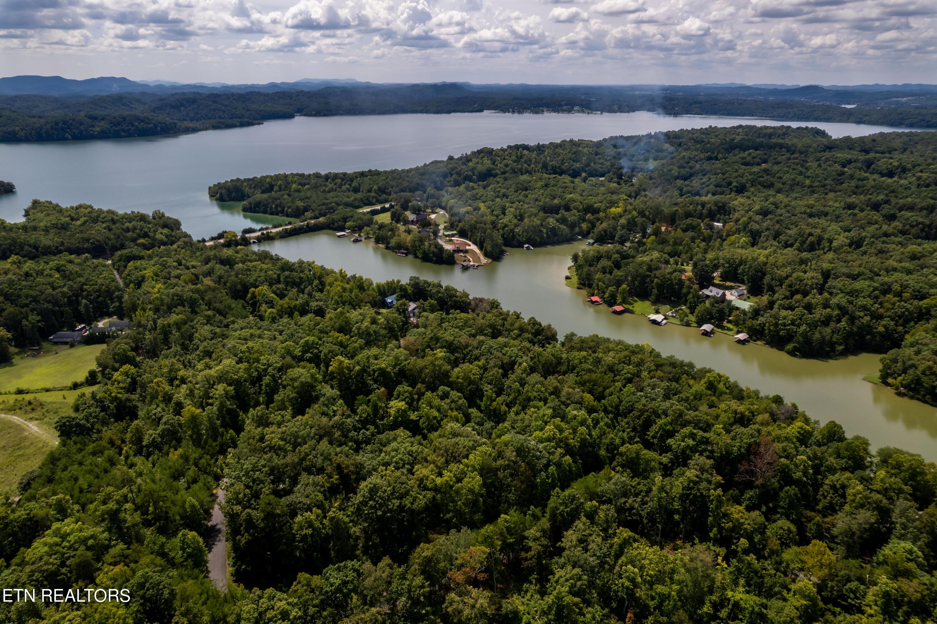 Fort Loudoun and Tellico Lake Real Estate - Image# 11
