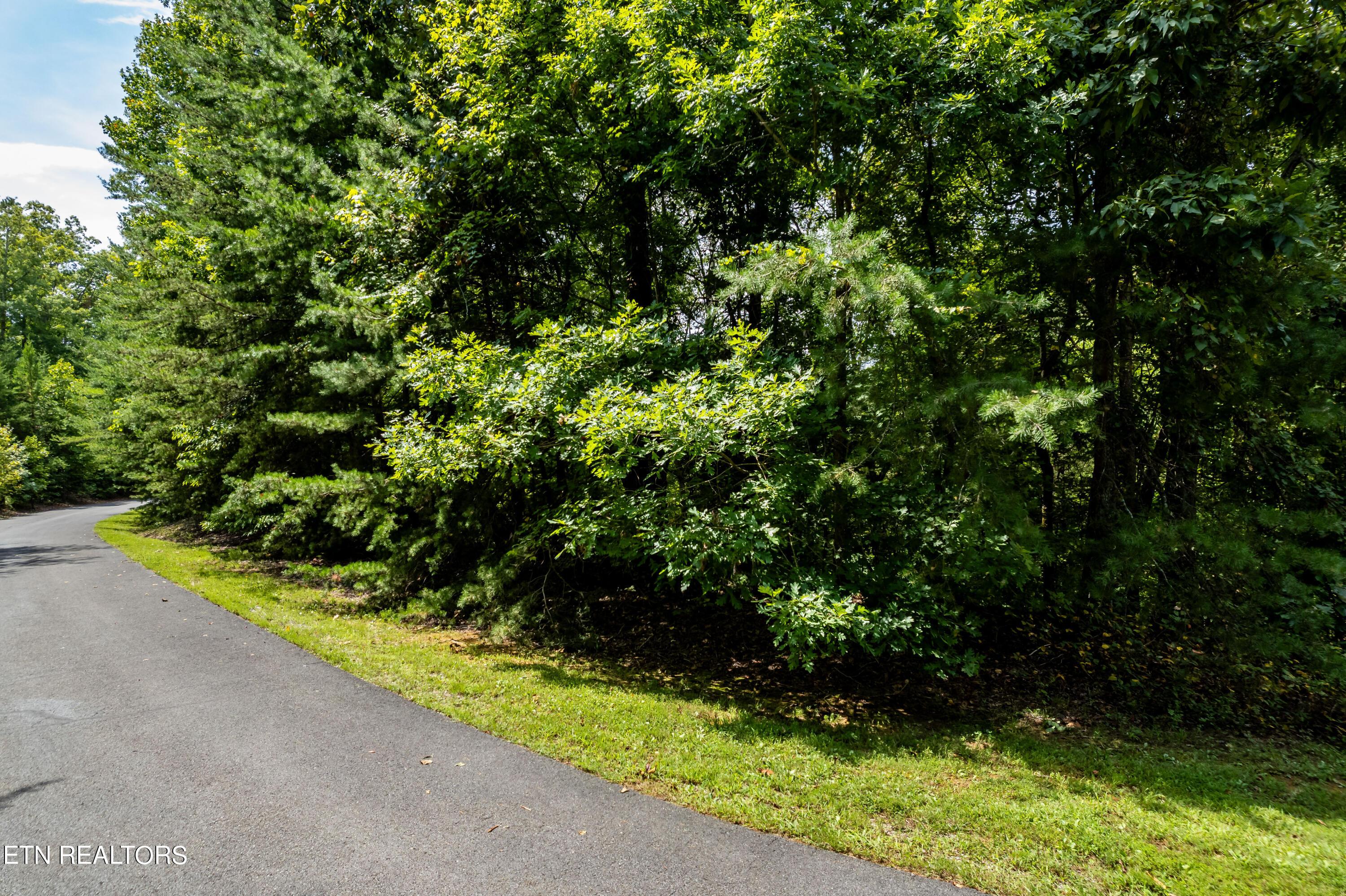 Fort Loudoun and Tellico Lake Real Estate - Image# 12