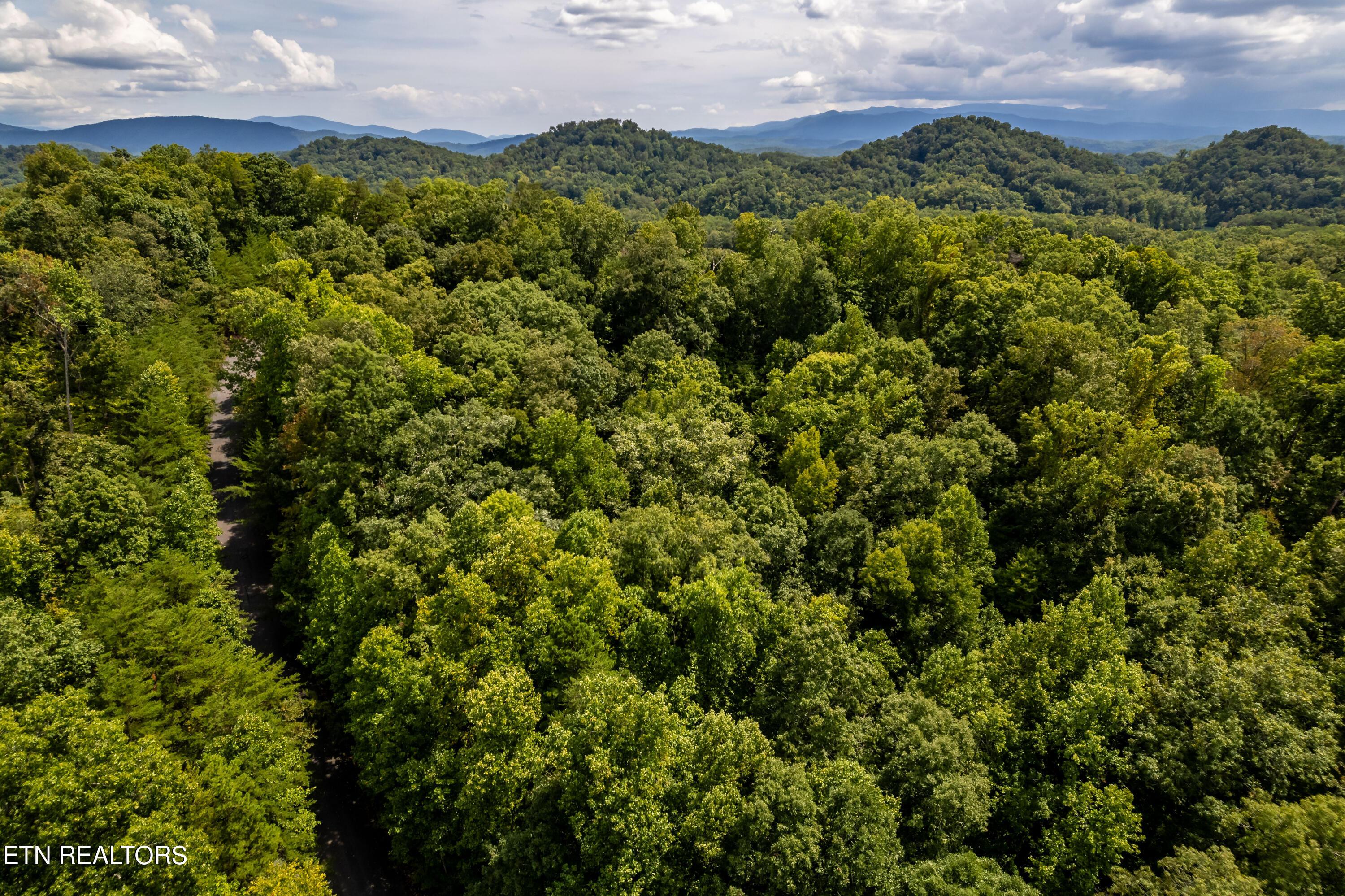 Fort Loudoun and Tellico Lake Real Estate - Image# 13