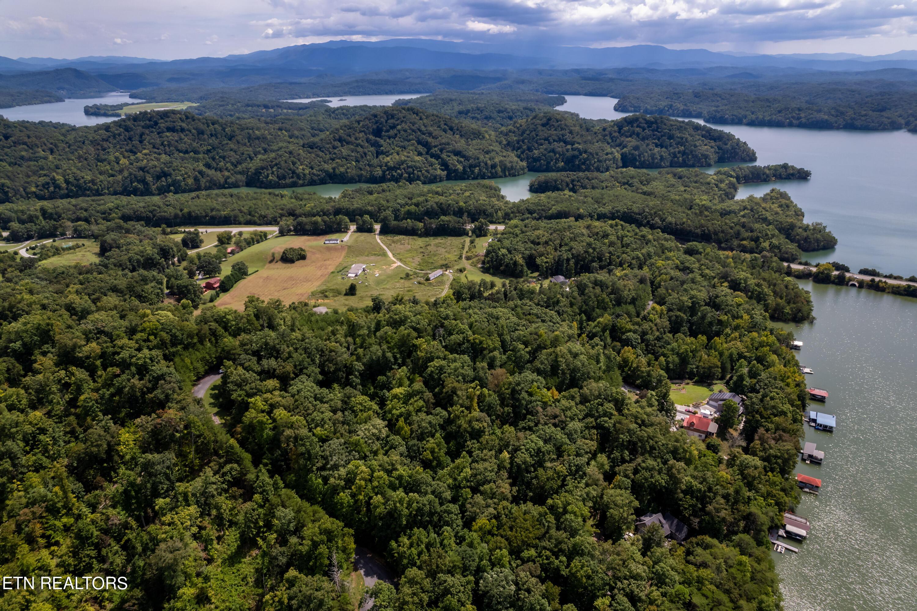 Fort Loudoun and Tellico Lake Real Estate - Image# 16