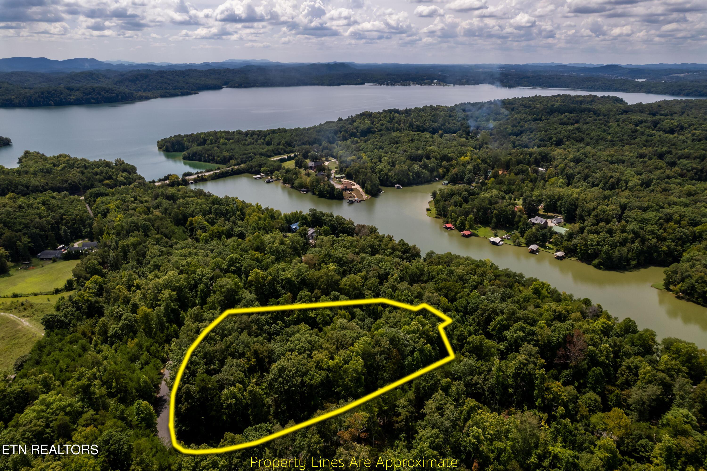 Fort Loudoun and Tellico Lake Real Estate - Image# 2